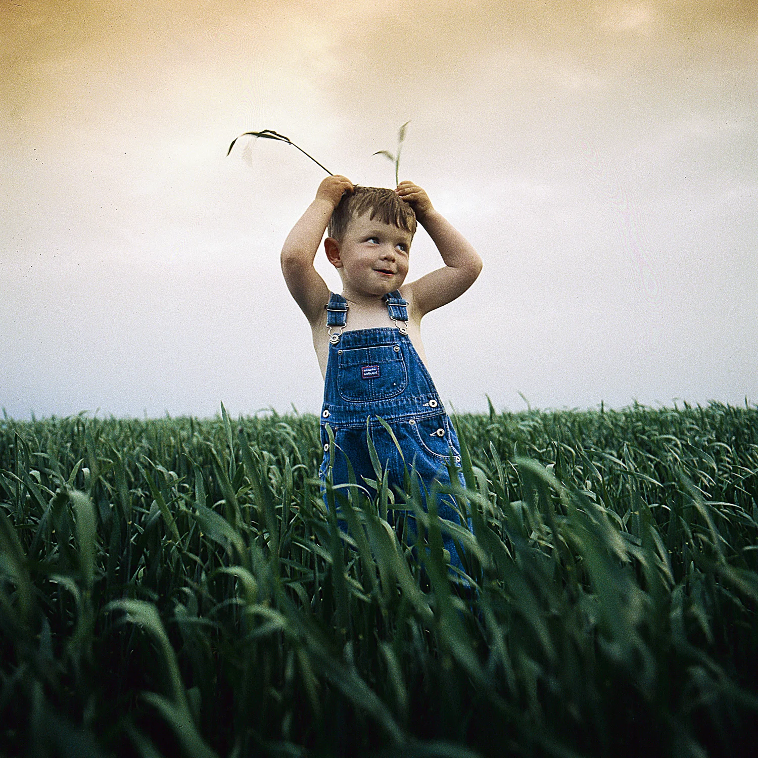 Boy in field02 copy.jpg