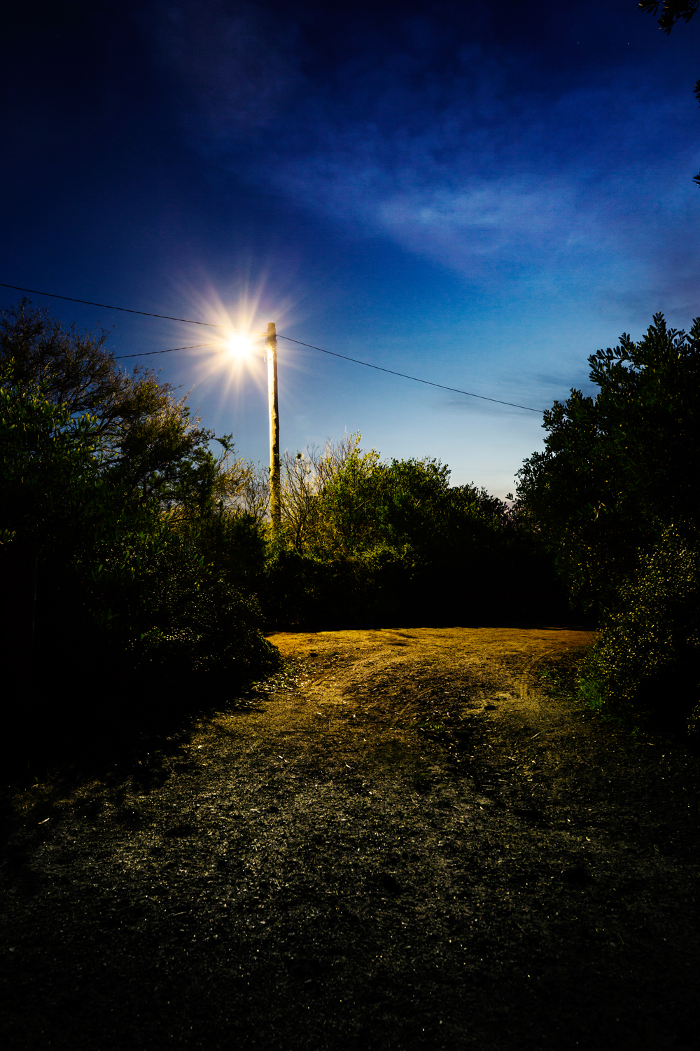 _85A5605 as Smart Object-1.jpg