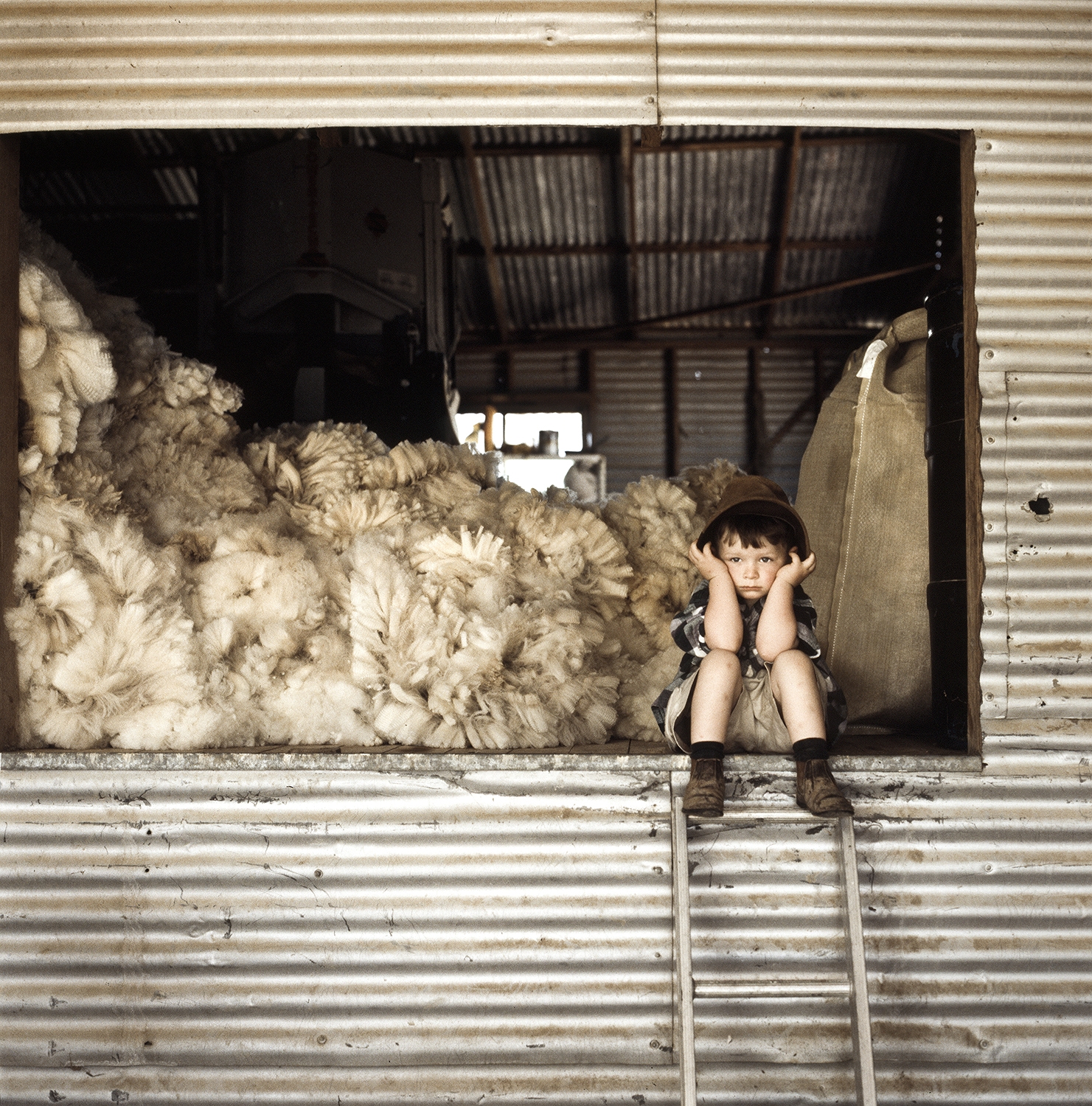 boy in woolshed2 copy.jpg