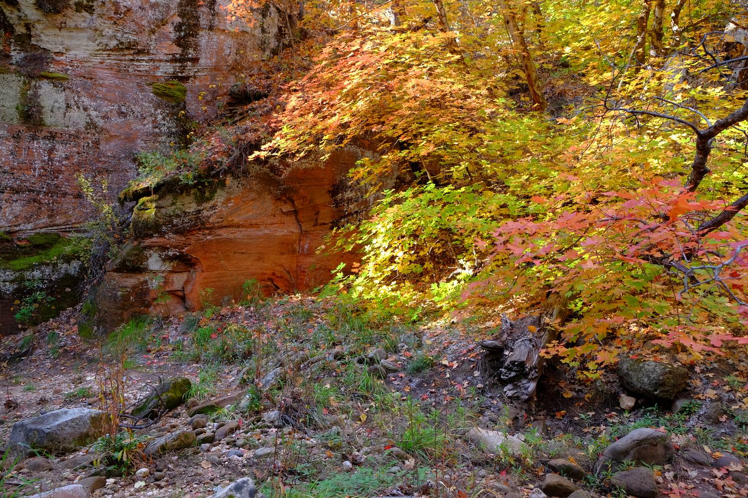 As you continue you enter the canyon where the temperature becomes quite pleasant and the colors start to explode.