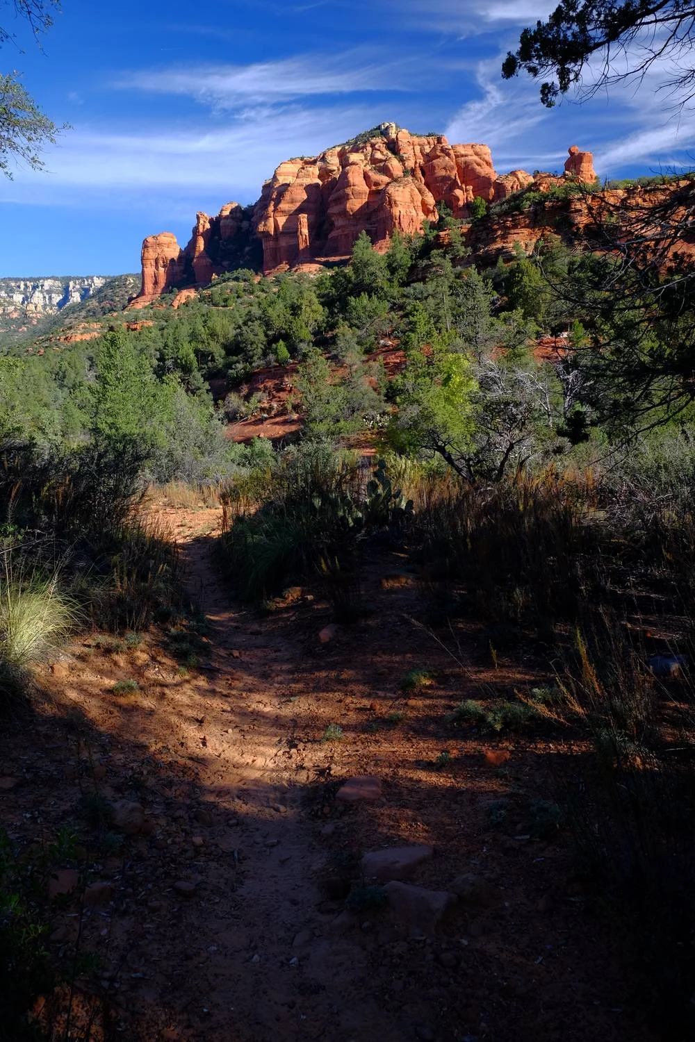 This is your typical view from the trail....not bad