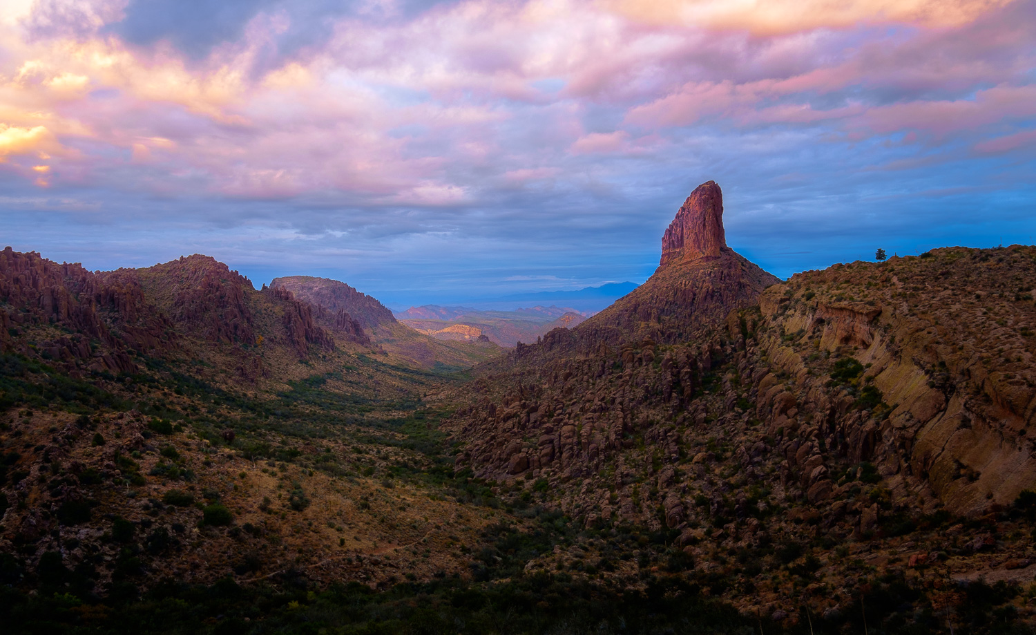 Click image to purchase a print