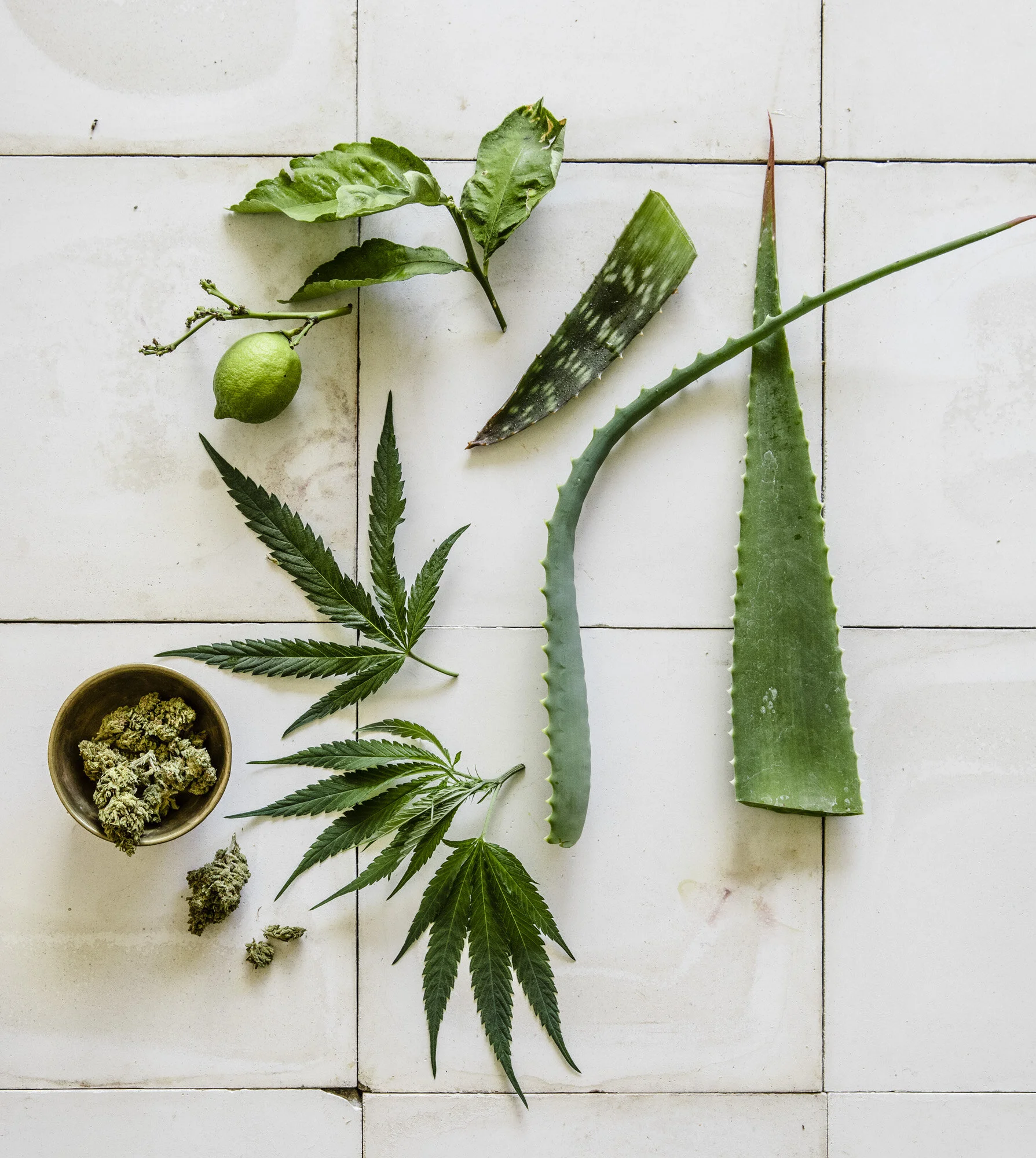 Marley-Spa-Ingredients-007.jpg