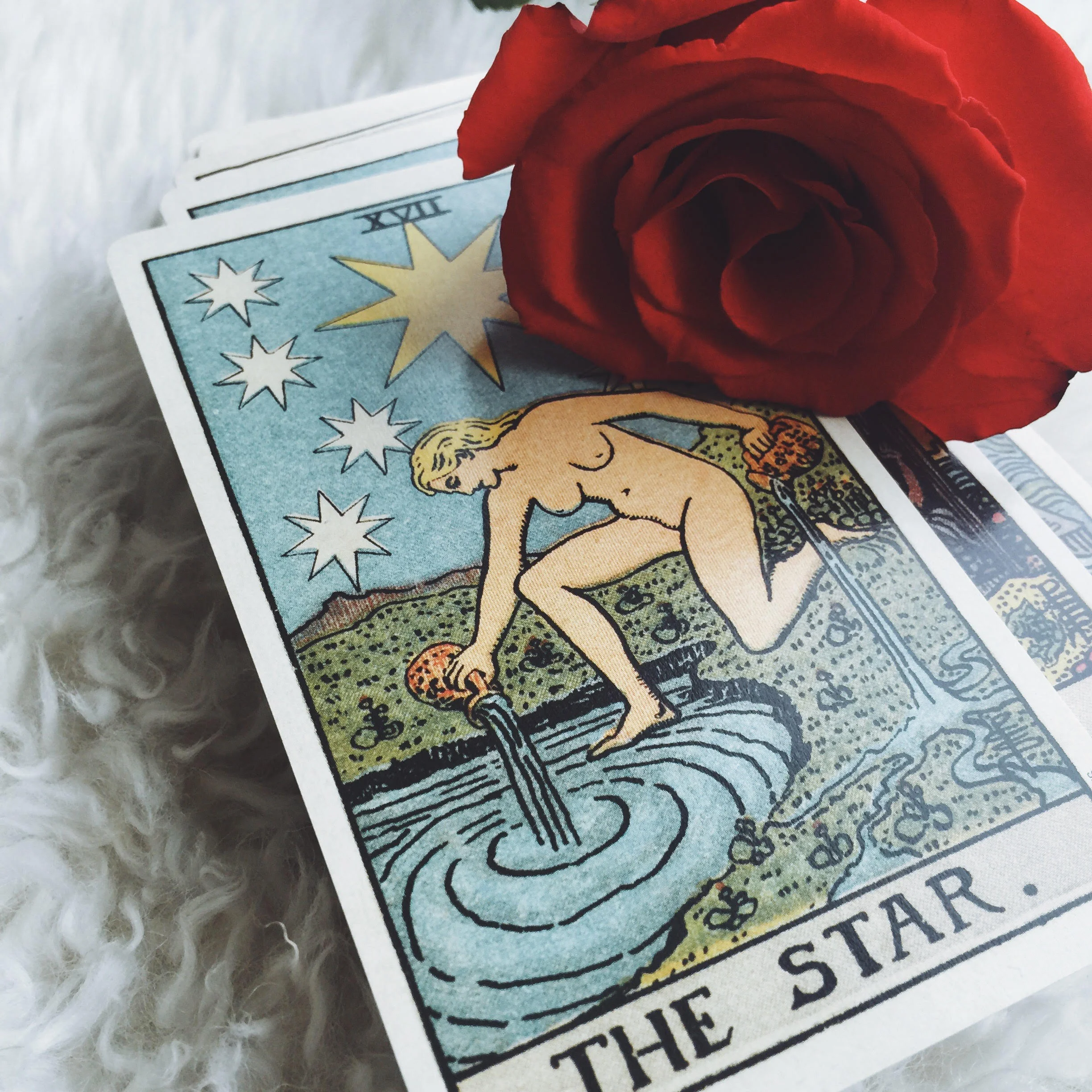 Tarot Everyday: The Horoscope Spread