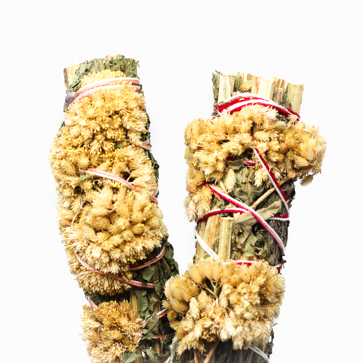 Yarrow:: photo by Thehoodwitch.com