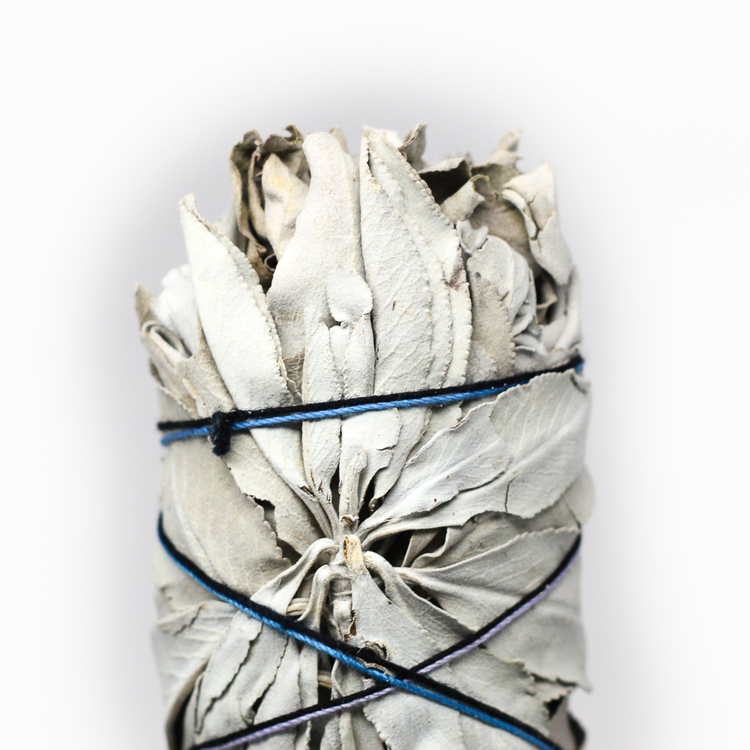 White Sage:: Photo Thehoodwitch.com