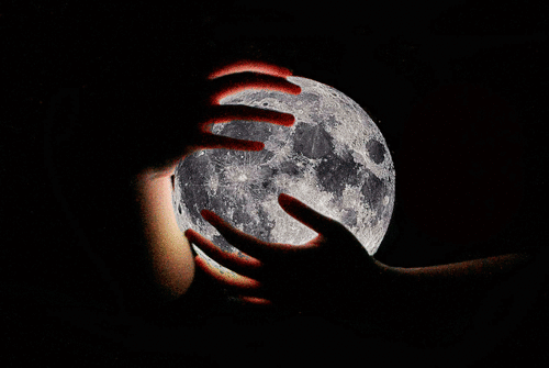 tumblr_nvrr71ub2z1u7gnm9o1_500.gif