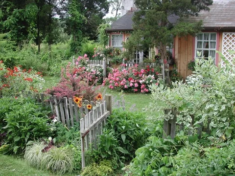 garden-for-dacha.jpg