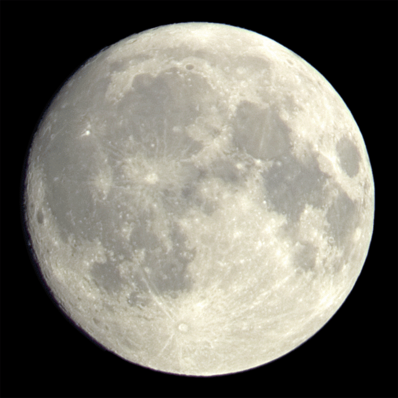0505-0604wb_800.gif
