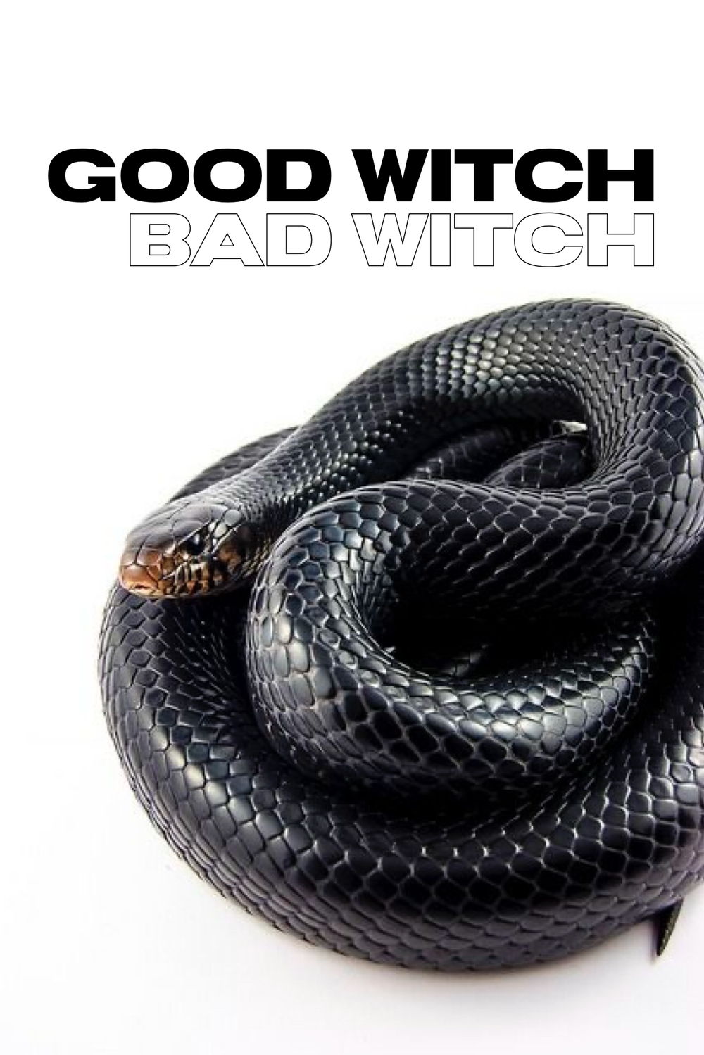 Art Blog The Hoodwitch