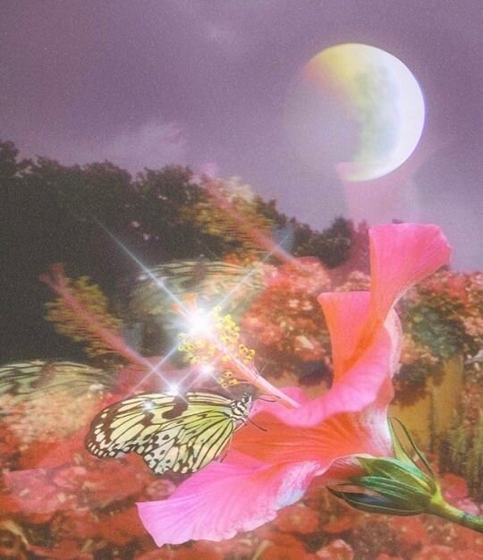 WITCHTIPS & HOROSCOPES 4/21-4/27/ 2021