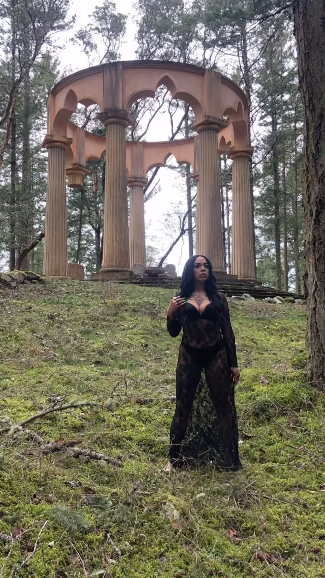 Pluto in Aquarius 2024 — The Hoodwitch