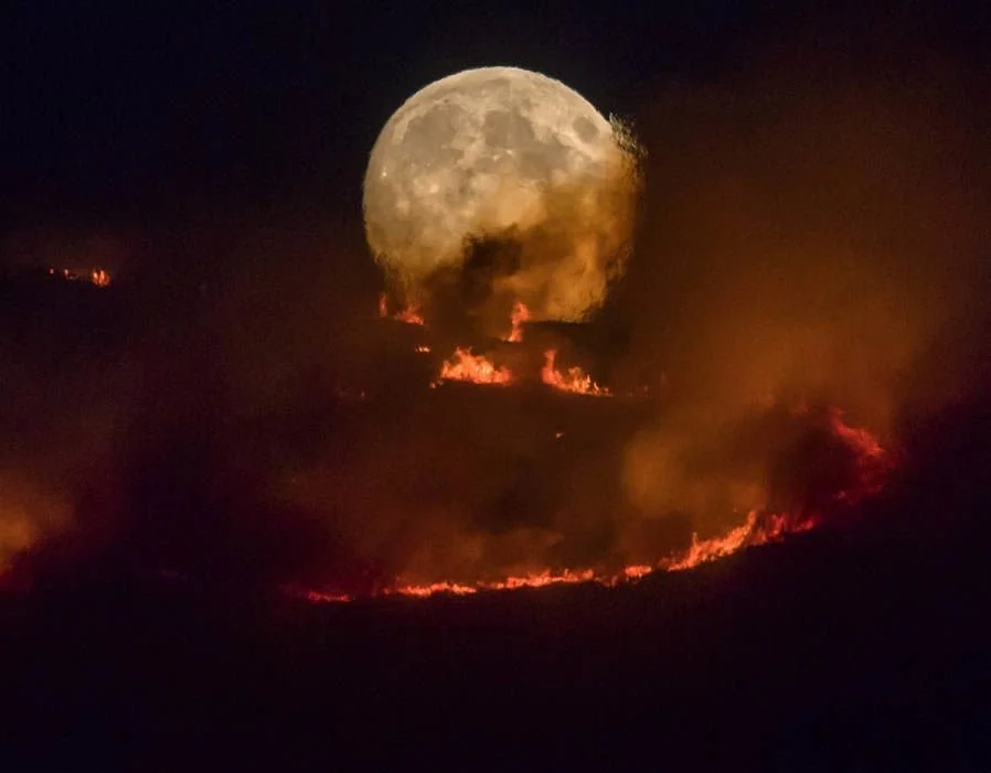 d7095ca00b1e1dd583aff9300a90bc5d