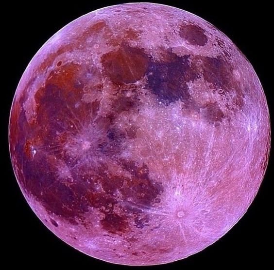 The Pink Full Moon in Libra 2023 — The Hoodwitch