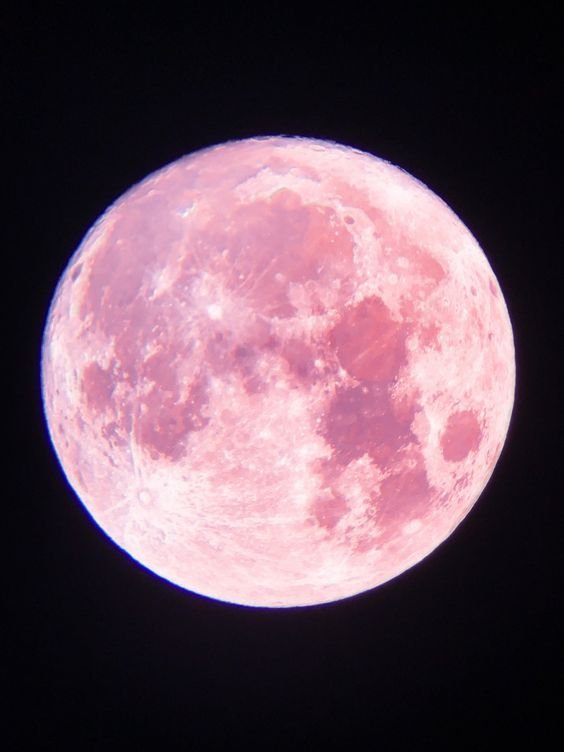 The Pink Full Moon in Libra — The Hoodwitch