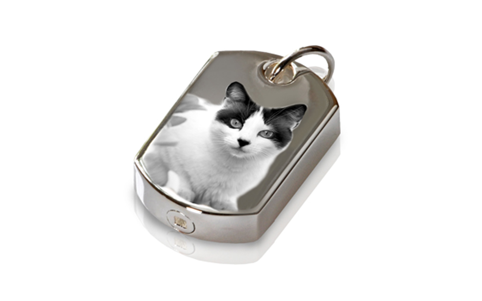 Photo Engraved Dog Tag This Stainless Steel pendant laser engraved with the photo of your choice is designed to hold cremated remains or fur clippings of your beloved pet. It measures 7/8" H x 5/8"W. Cost of back engraving is not included. $245