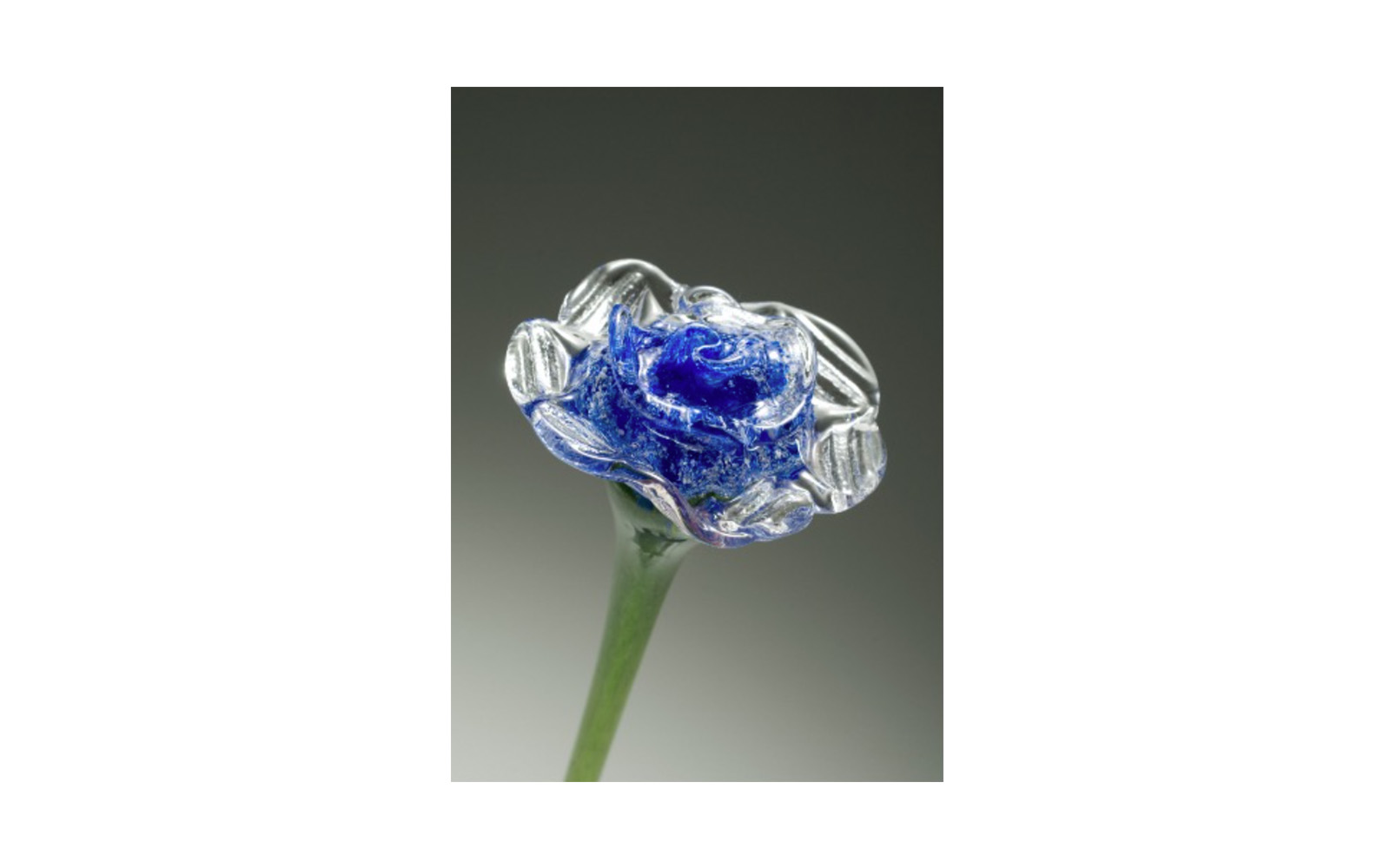 The Eternal Flower This piece has a green stem and your loved one's cremated remains are encased in the flower petals when the glass is blown by hand. Select one of your jewel tone colors for the flower. Additional fee applies for etching of up to 20 characters on the stem. The flower measures 12" in length. Standard Color: $195 Iridescent Color: $280