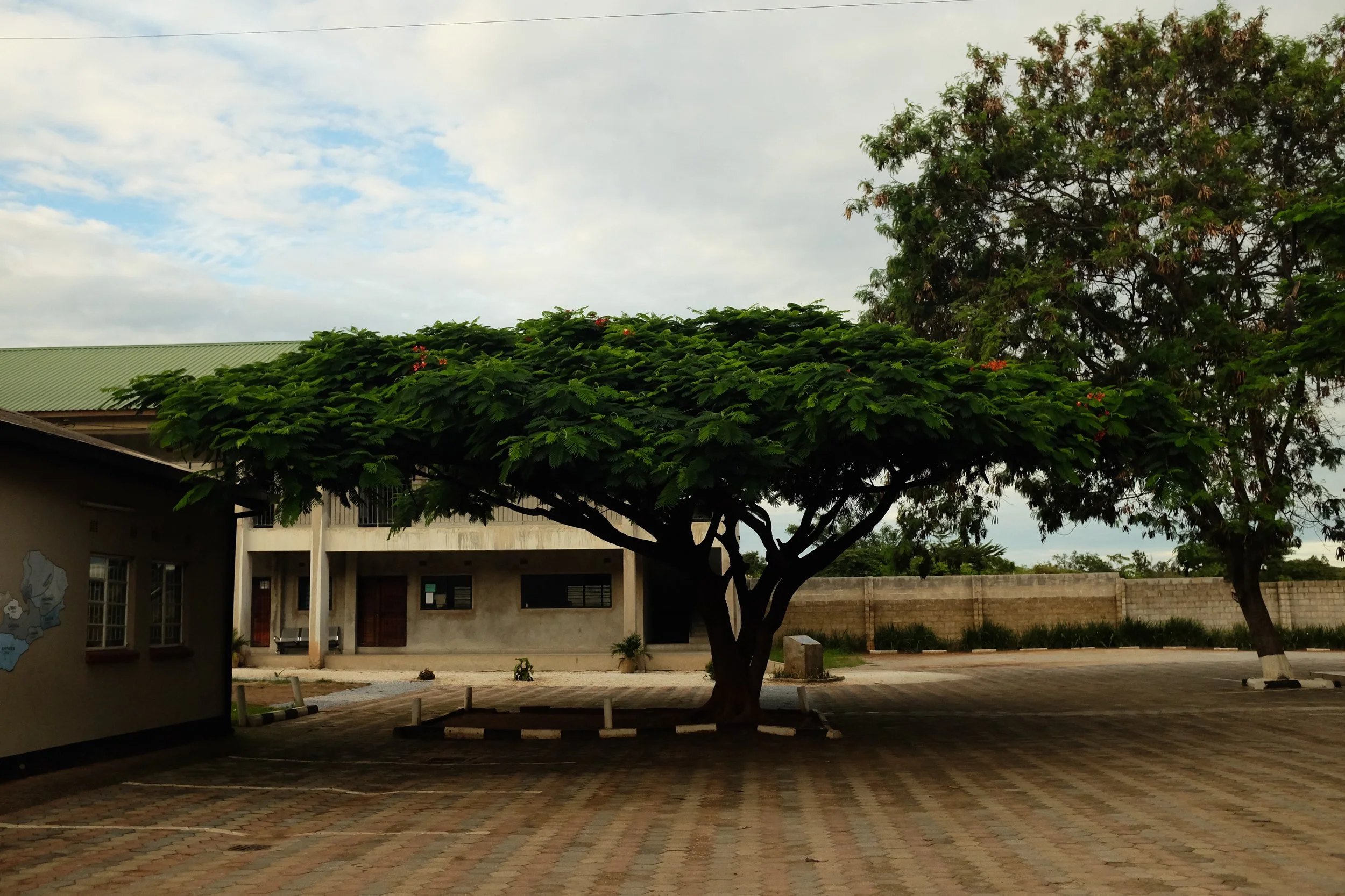 DSCF3234.JPG