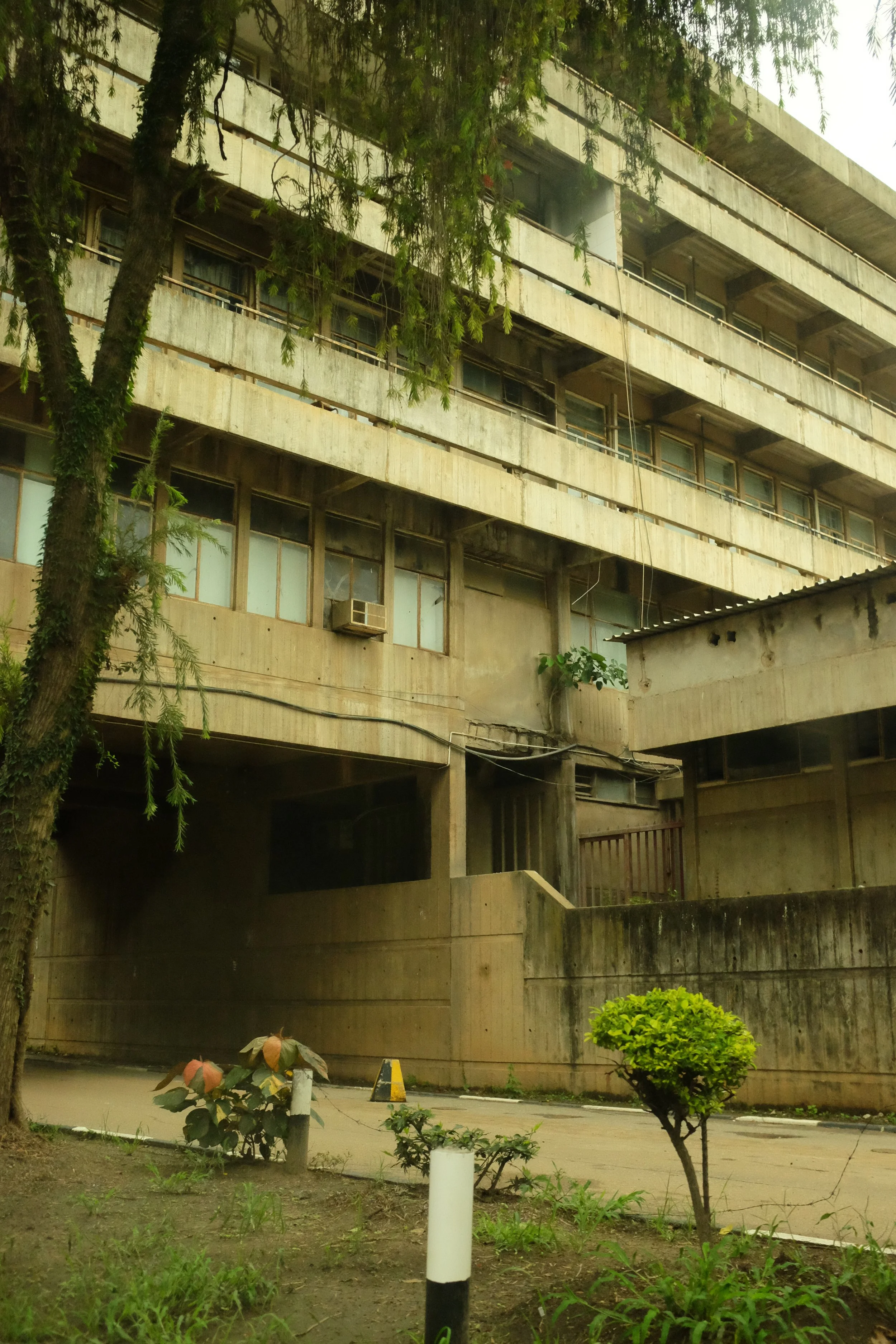 DSCF3378.JPG