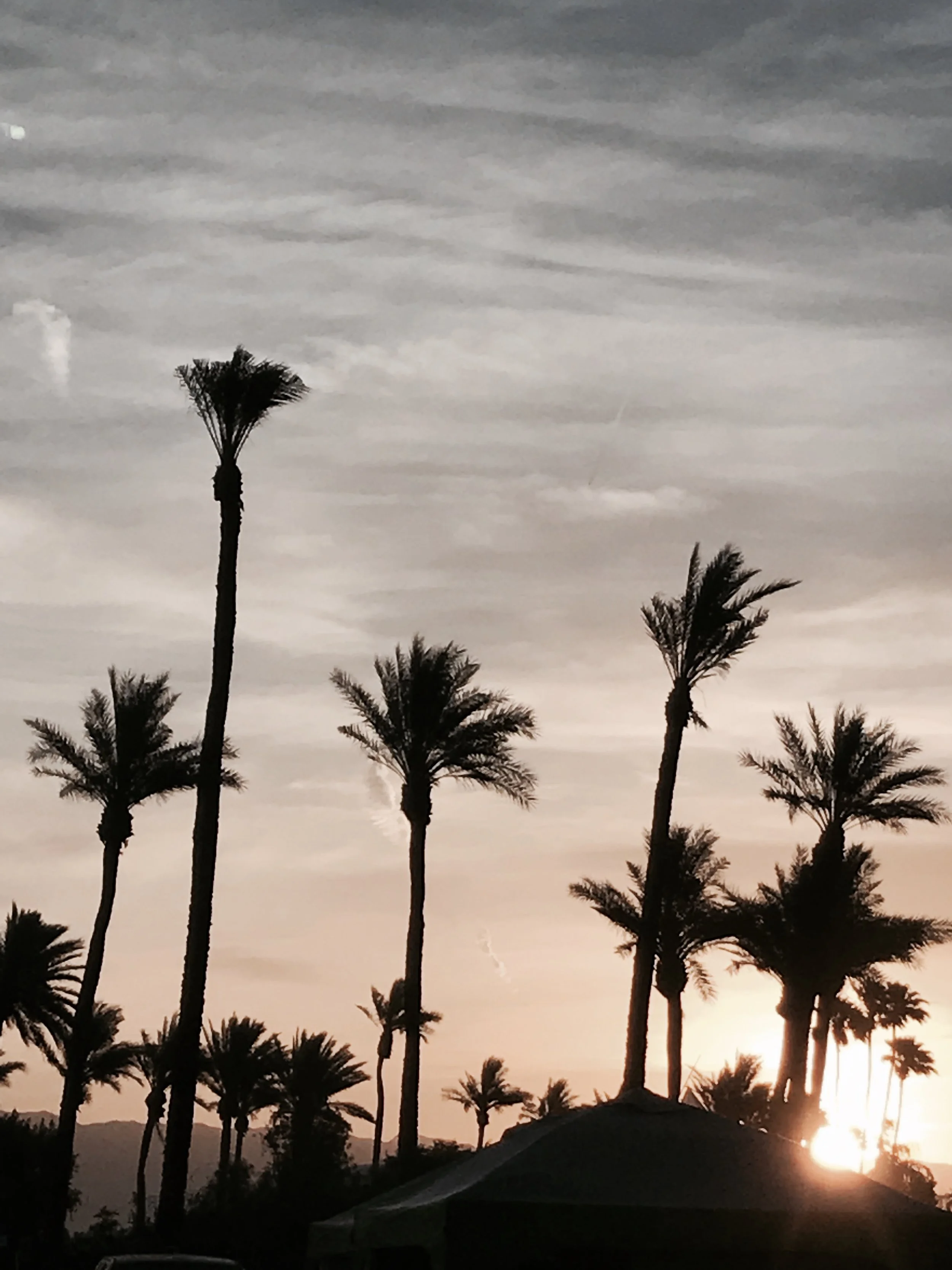 FullSizeRender 23.jpg