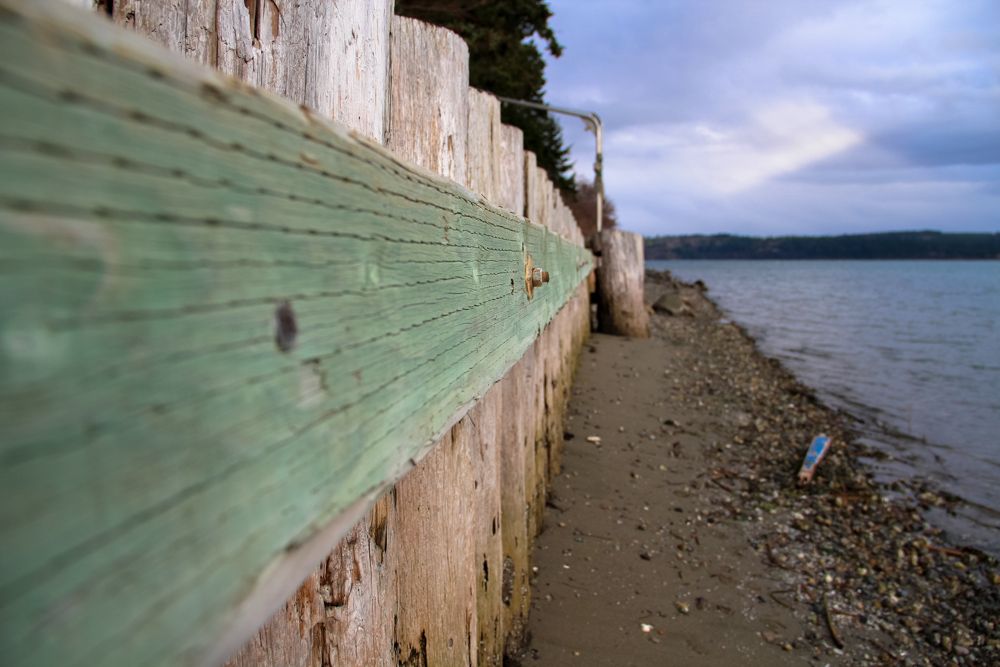 LIFElines (1 of 1).jpg