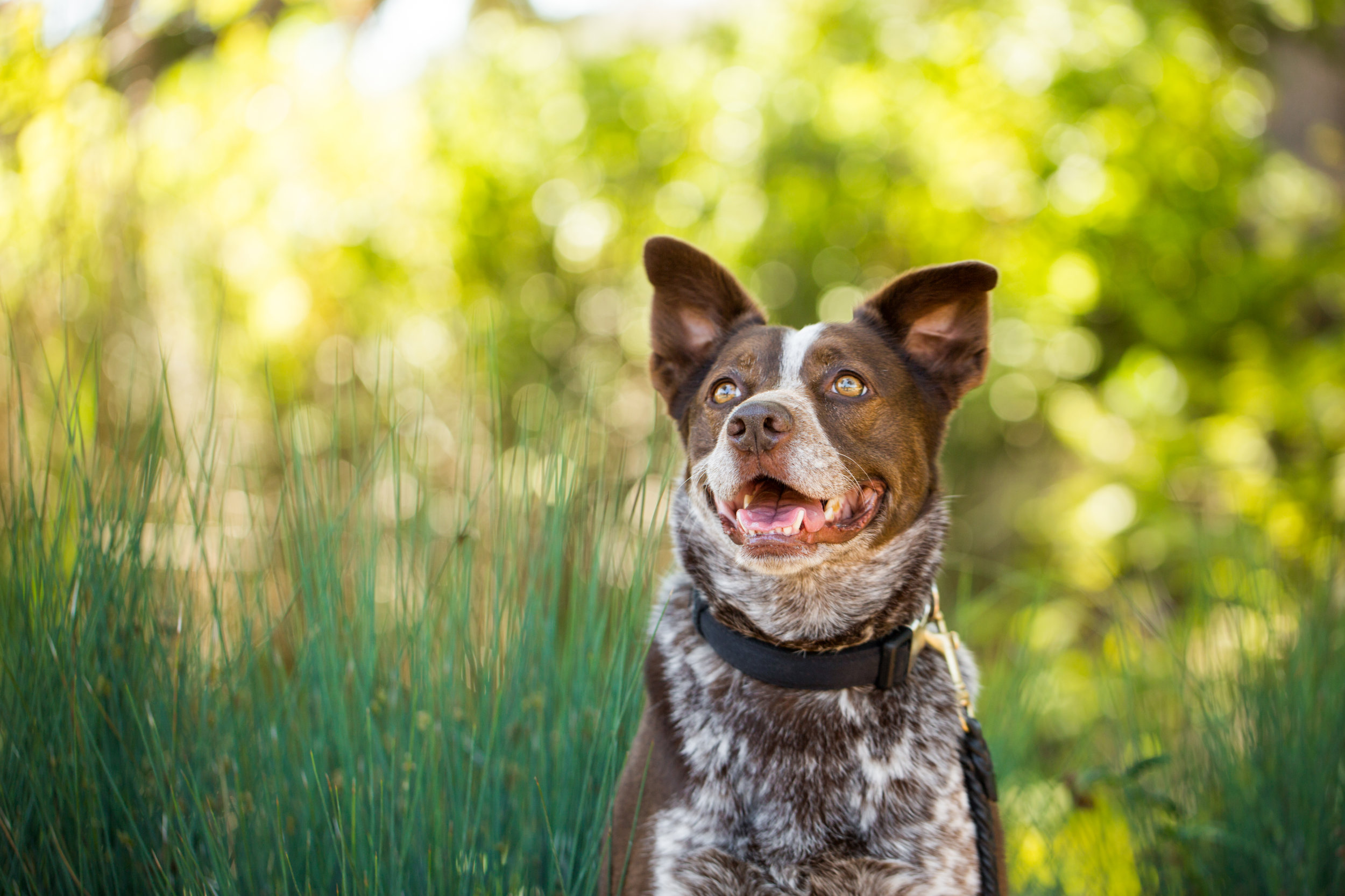 VeilsTrailsTails16_236 Sam.JPG