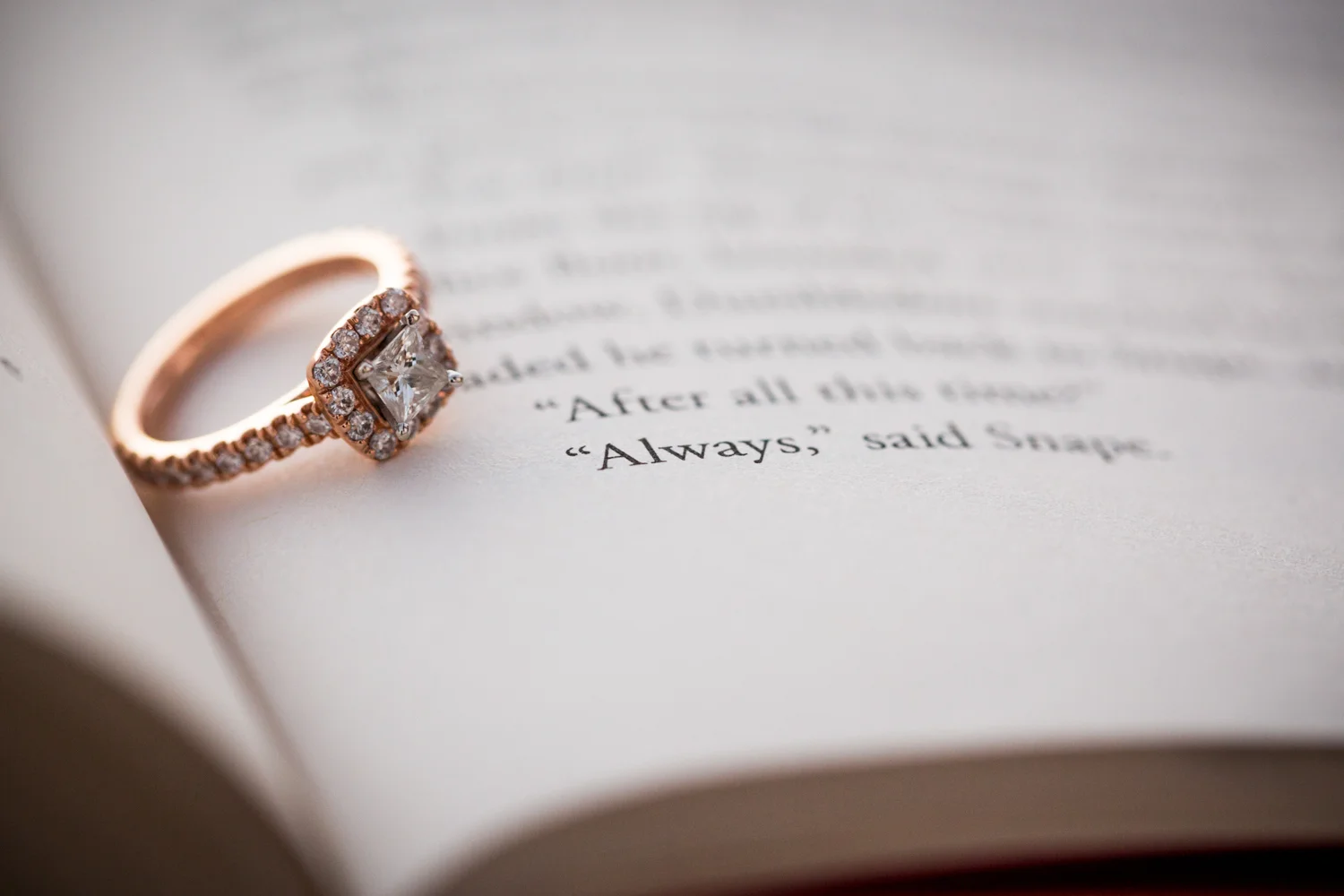 Website-Engagement_135_1500.JPG