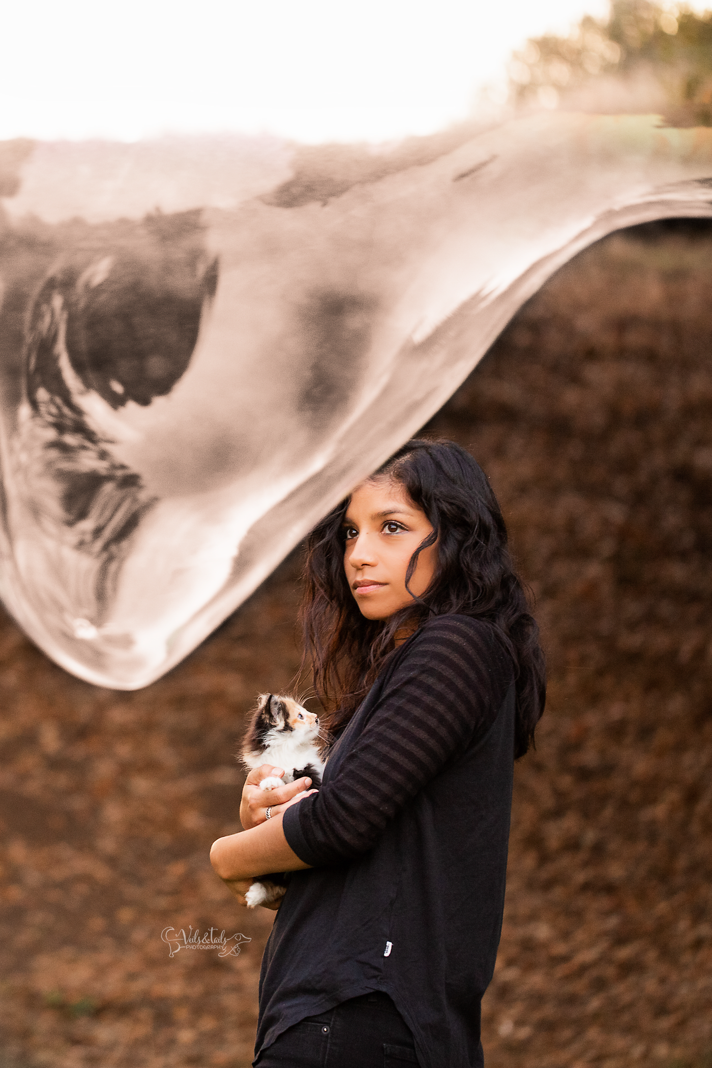 pet photographer santa barbara
