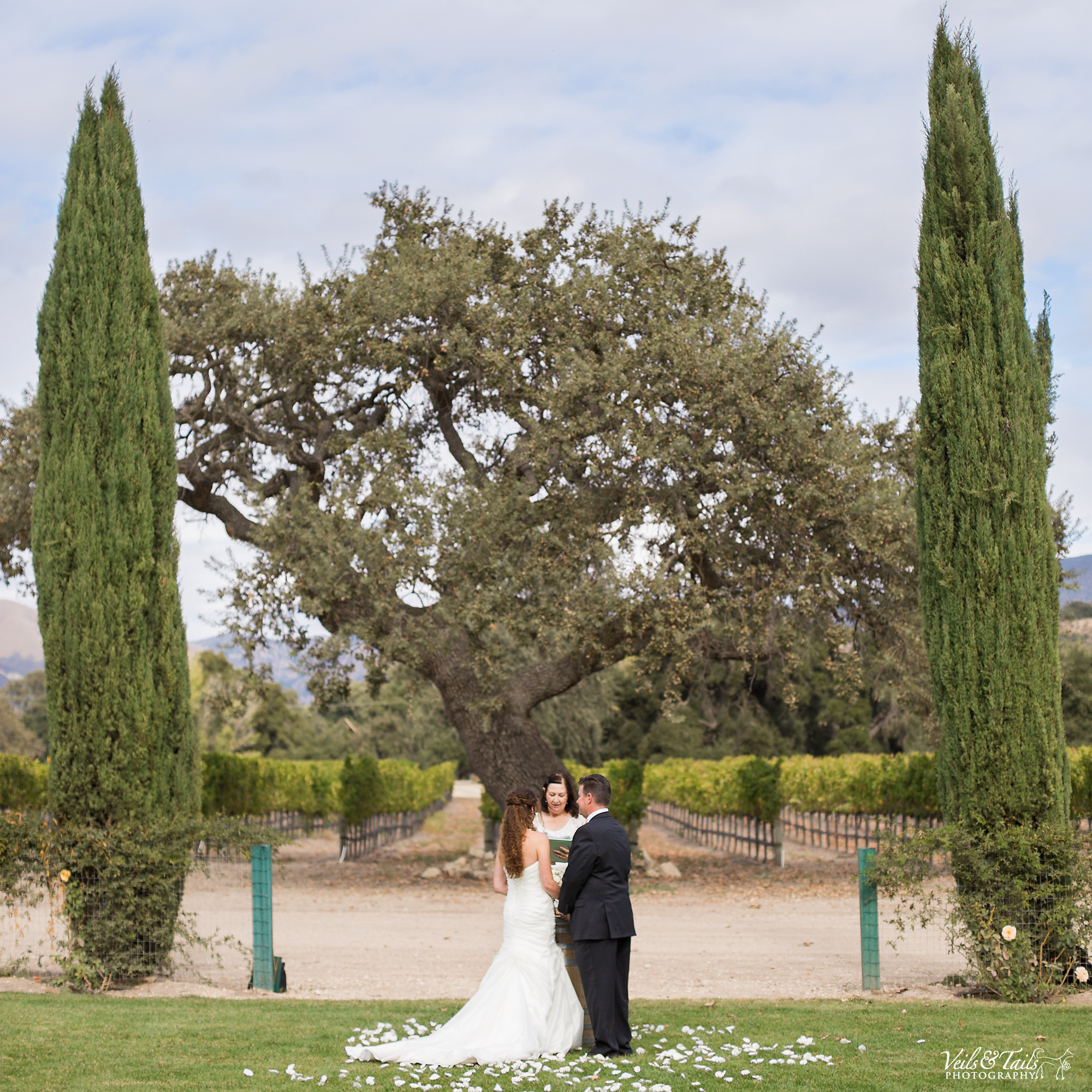 affordable wedding photography southern california