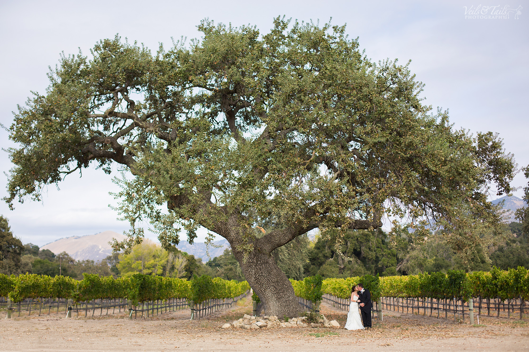 BaconWedding_221-blog.jpg