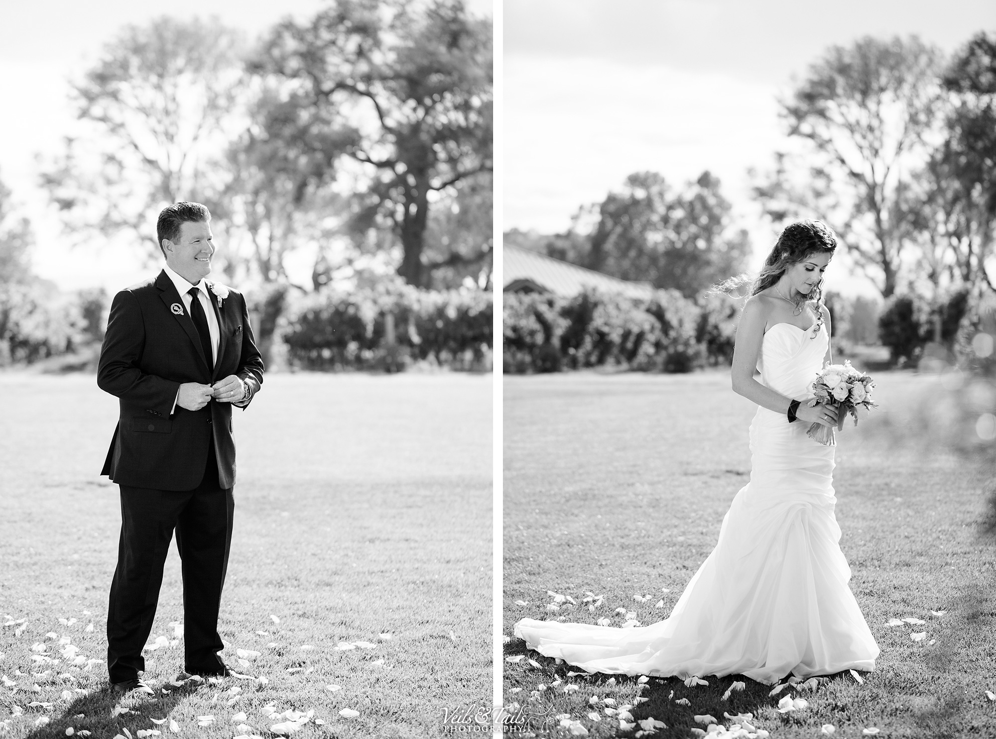 average price for wedding photographer in california