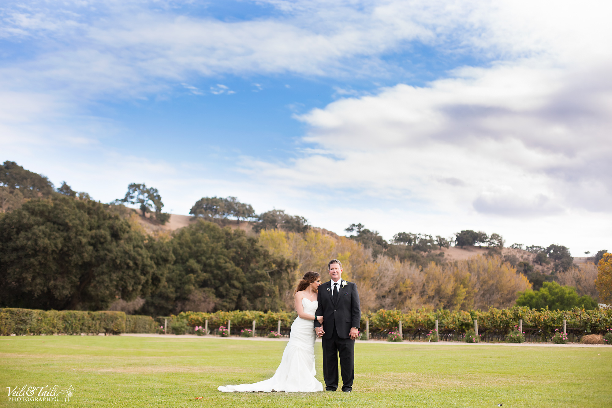 average price for wedding photographer in california