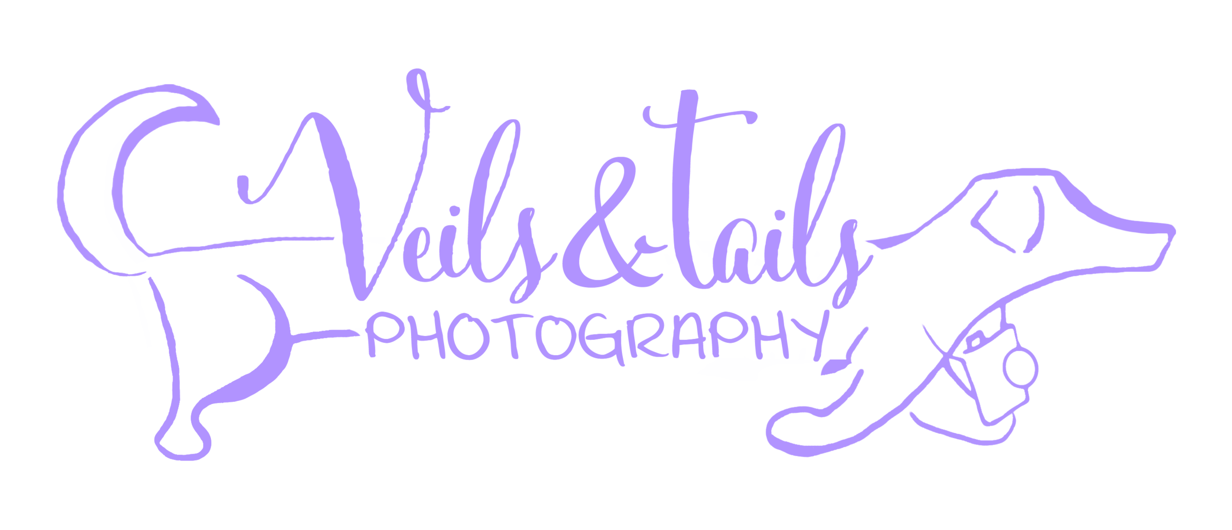 Veils &amp; Tails Photography | Santa Barbara Wedding &amp; Pet Photographer