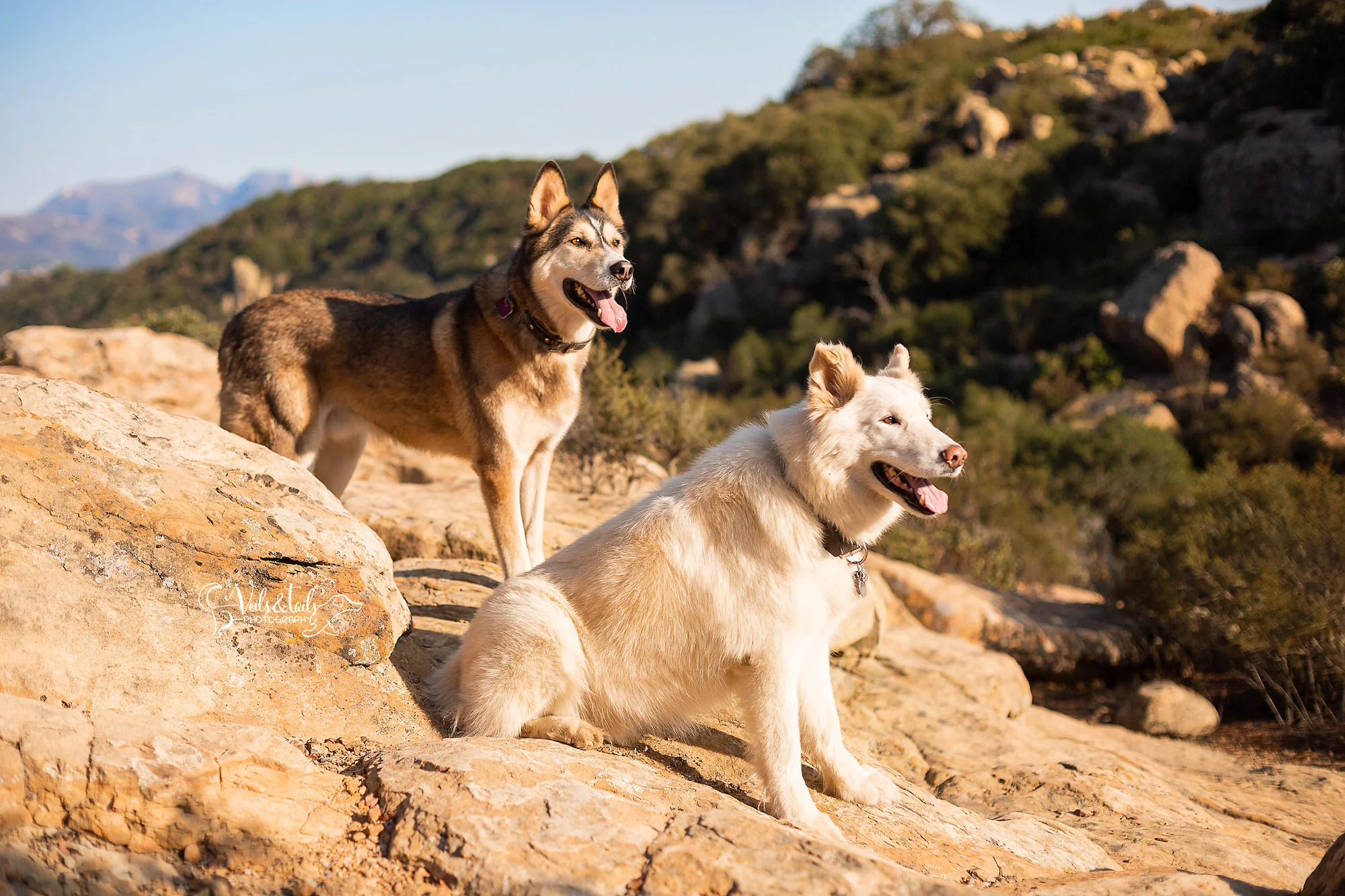 professional photographers santa barbara county