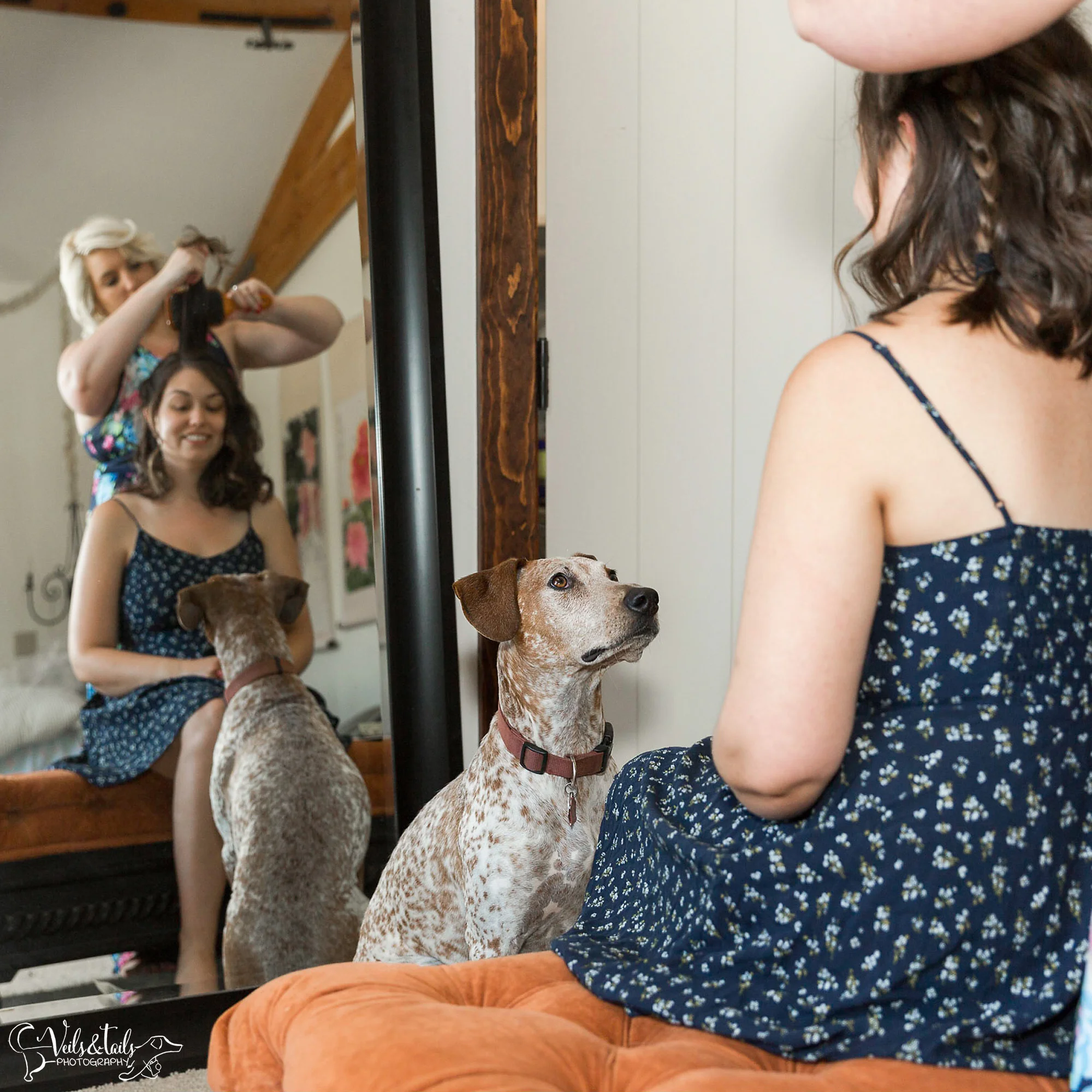 pet photographer santa barbara