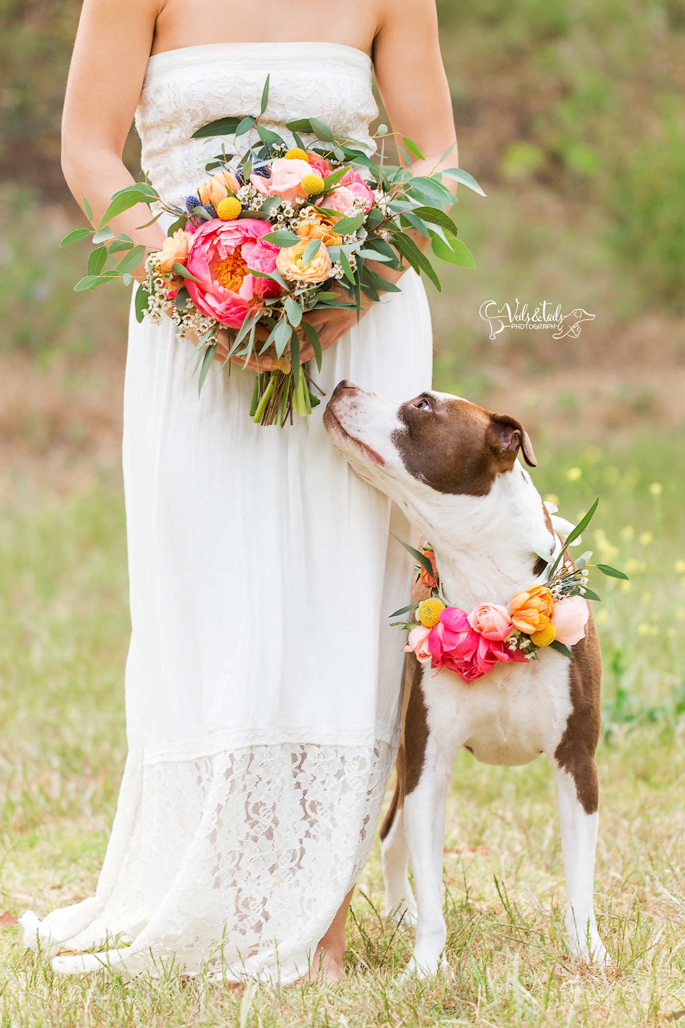 VeilsandTails_36-copy.jpg