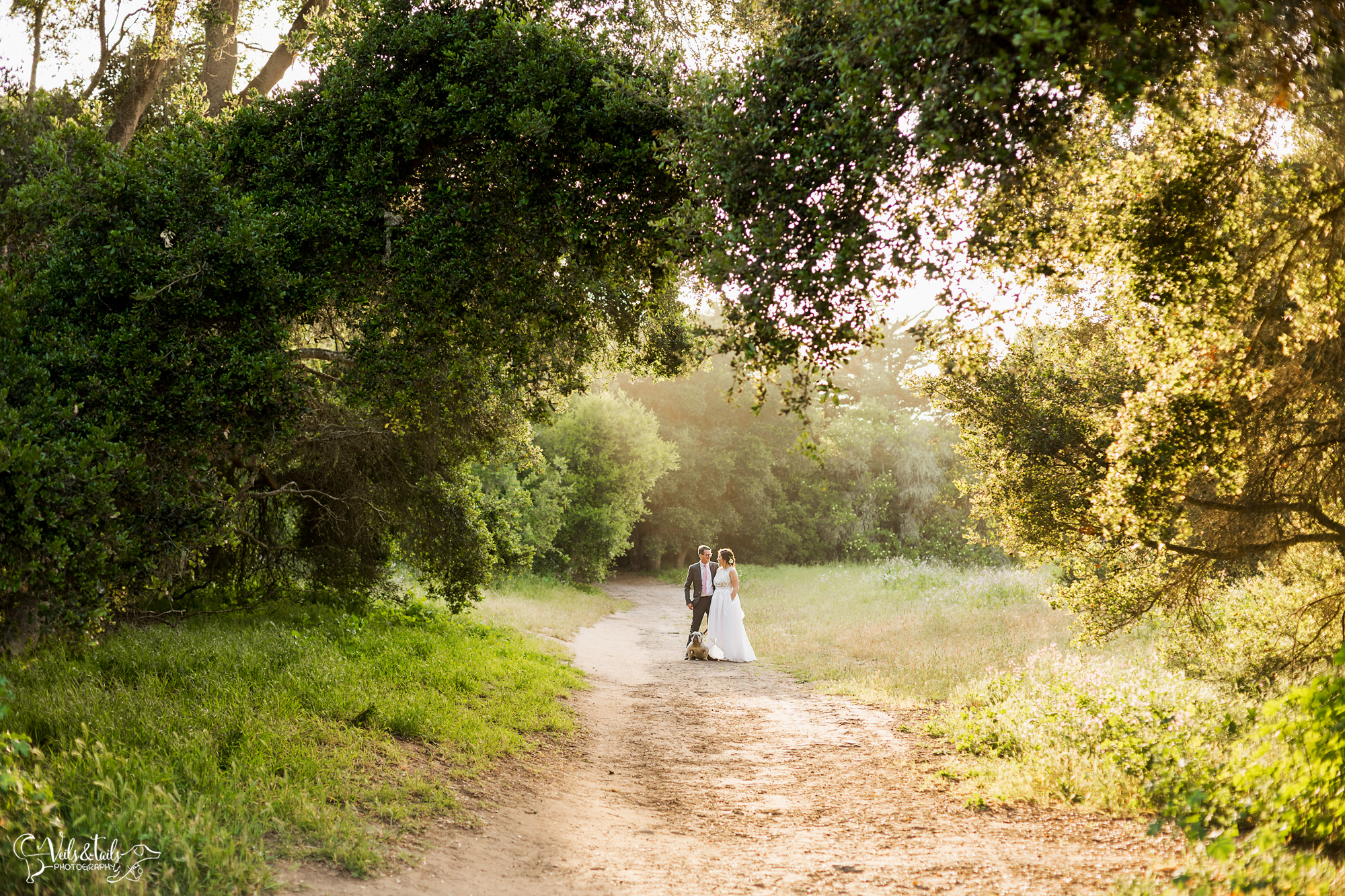 best wedding photographers santa barbara