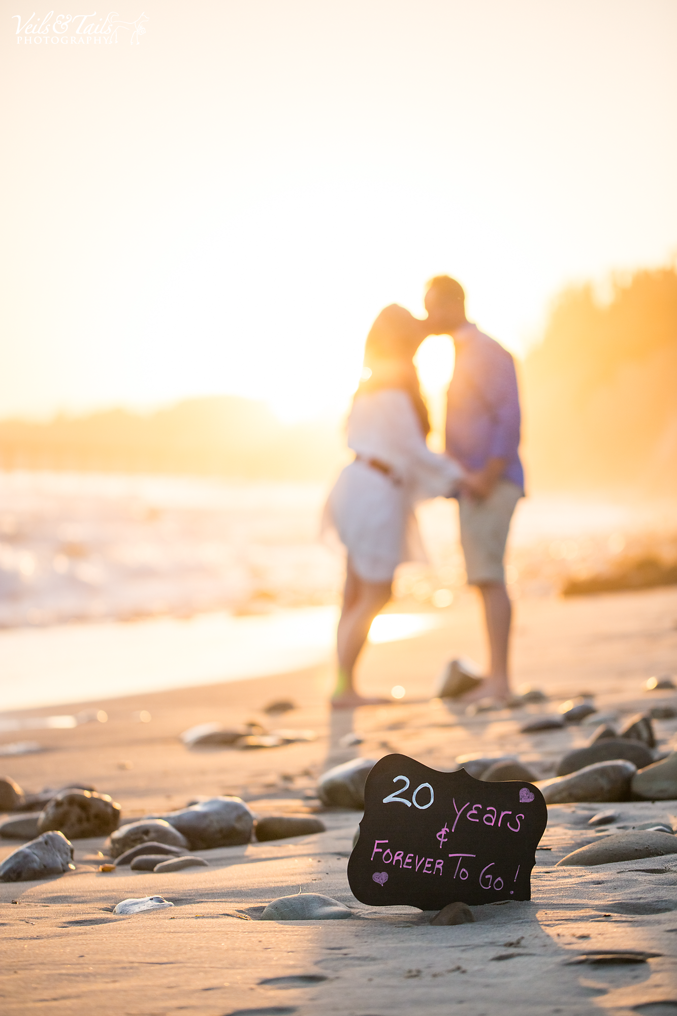 pet photographer santa barbara