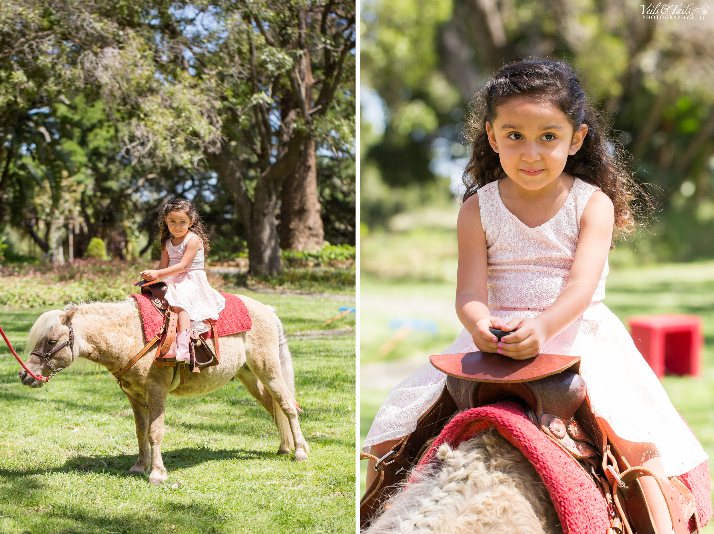 childrens birthday party photographer santa barbara