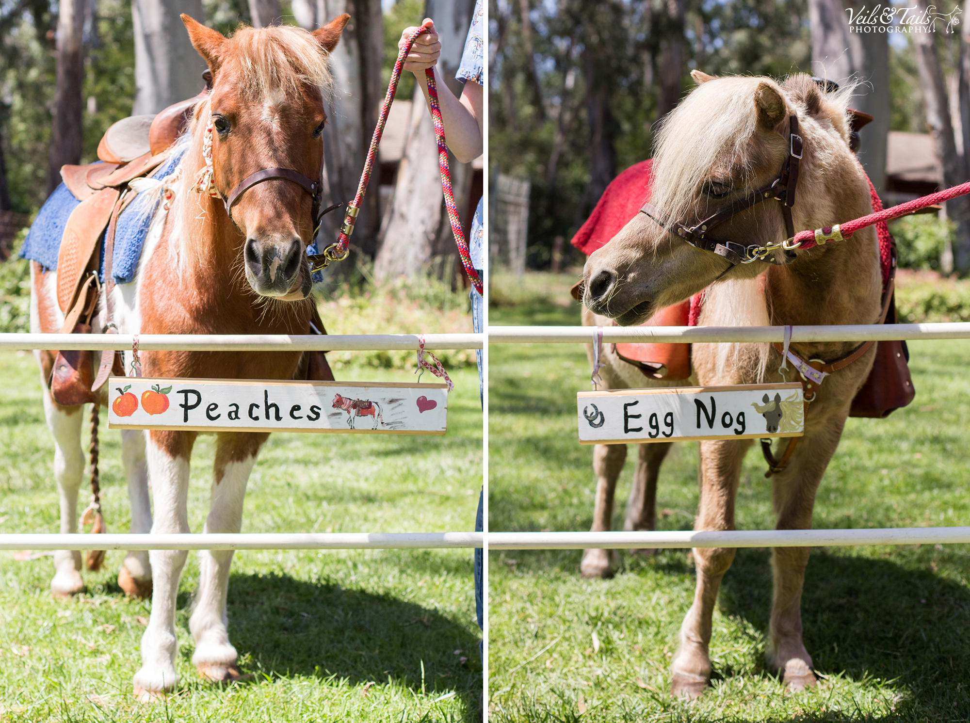 wedding photographer santa barbara