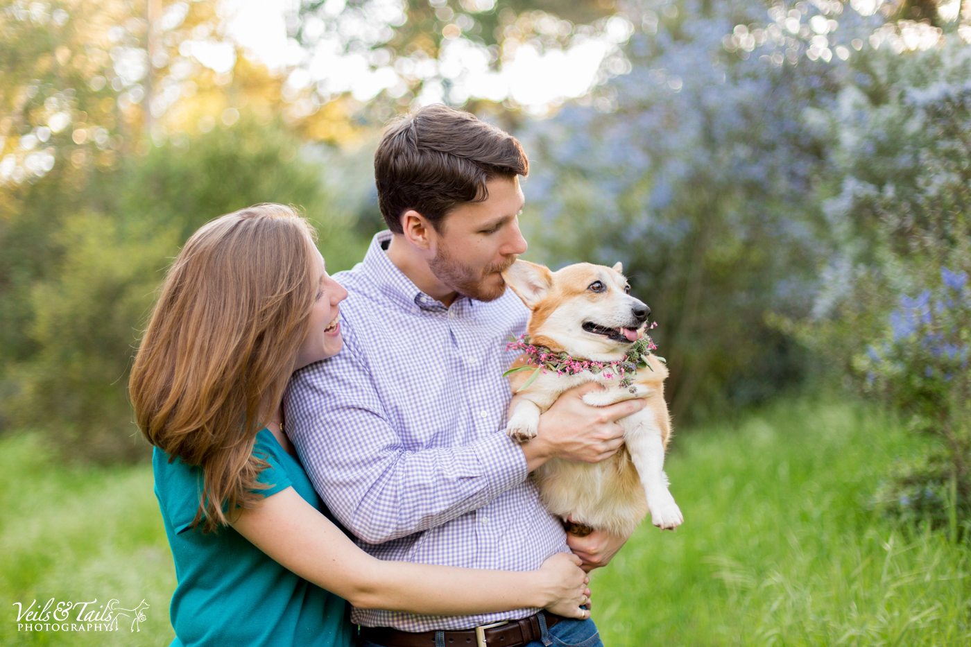 Dog and wedding photographer Santa Barbara