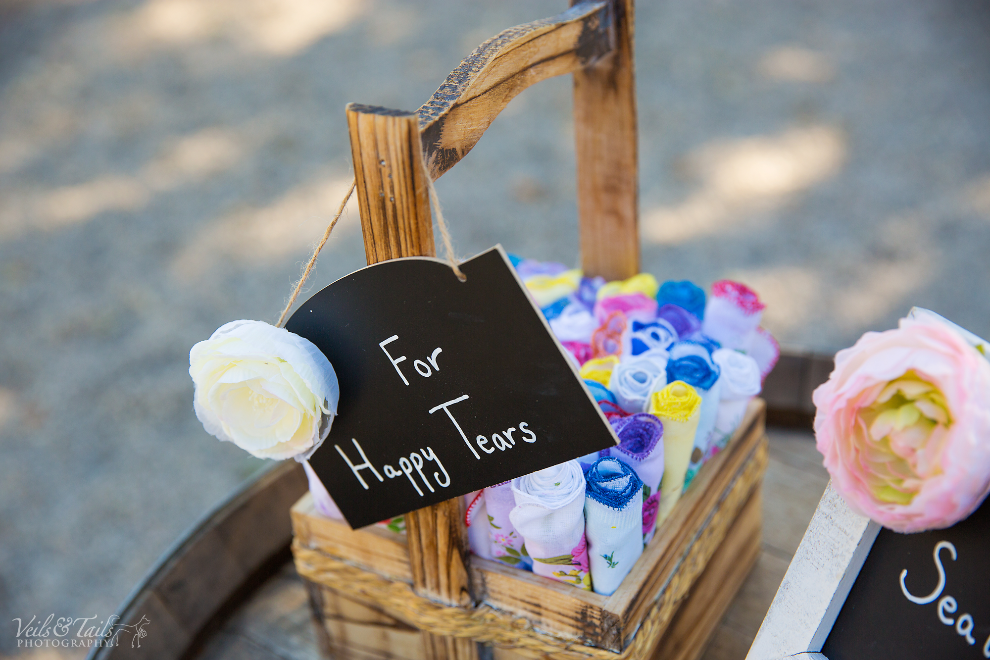 wedding photographer santa barbara county