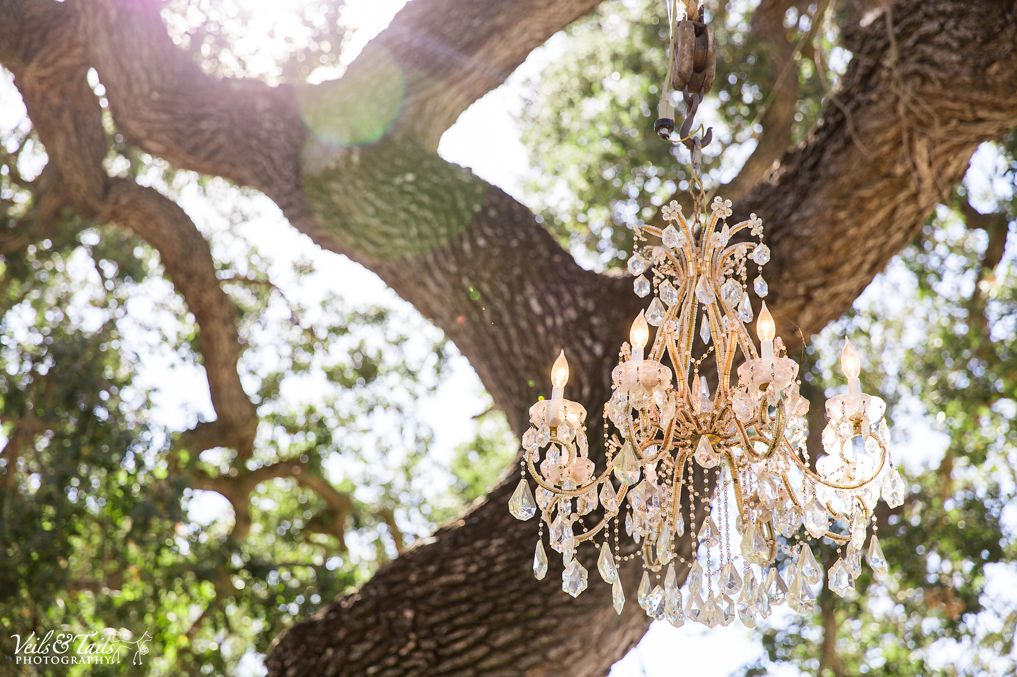 wedding photography in california