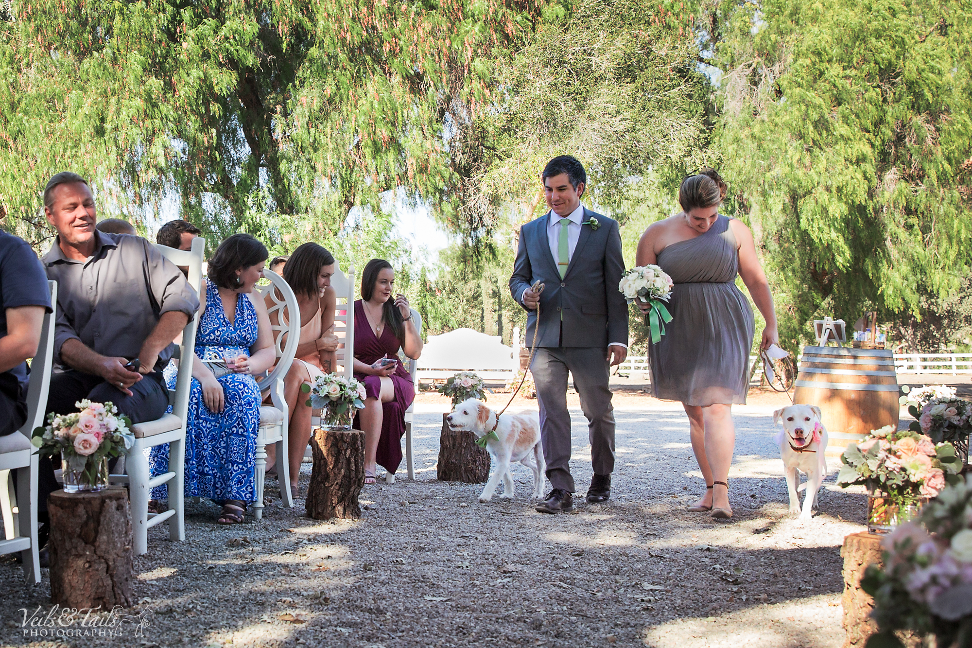 best wedding photographer in california