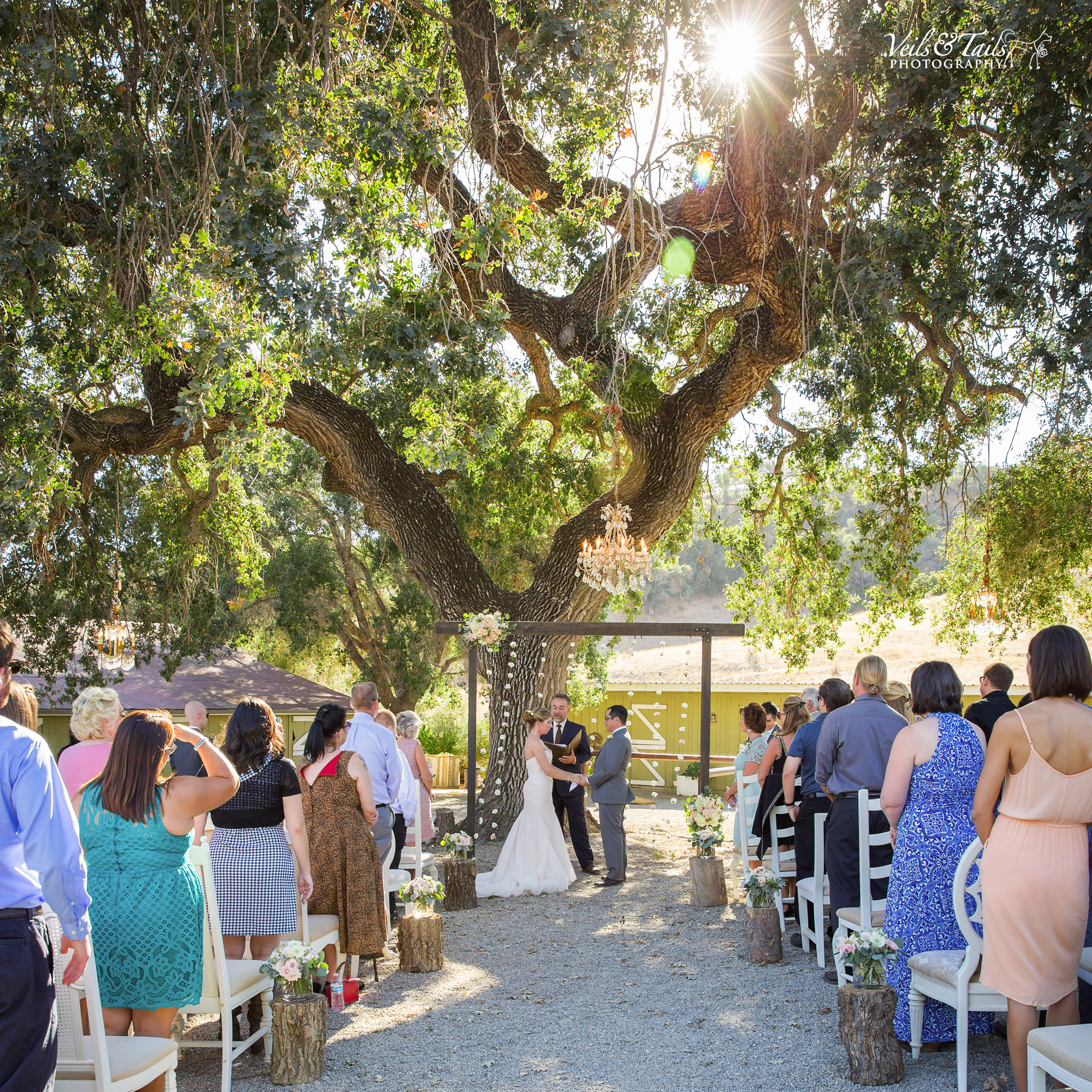 average cost of wedding photographer in california