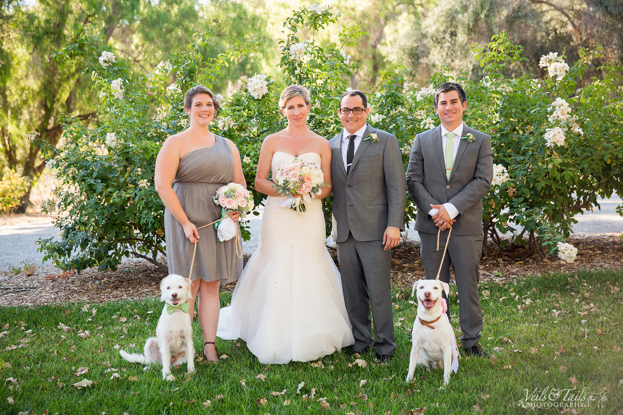 aptos california wedding photographer