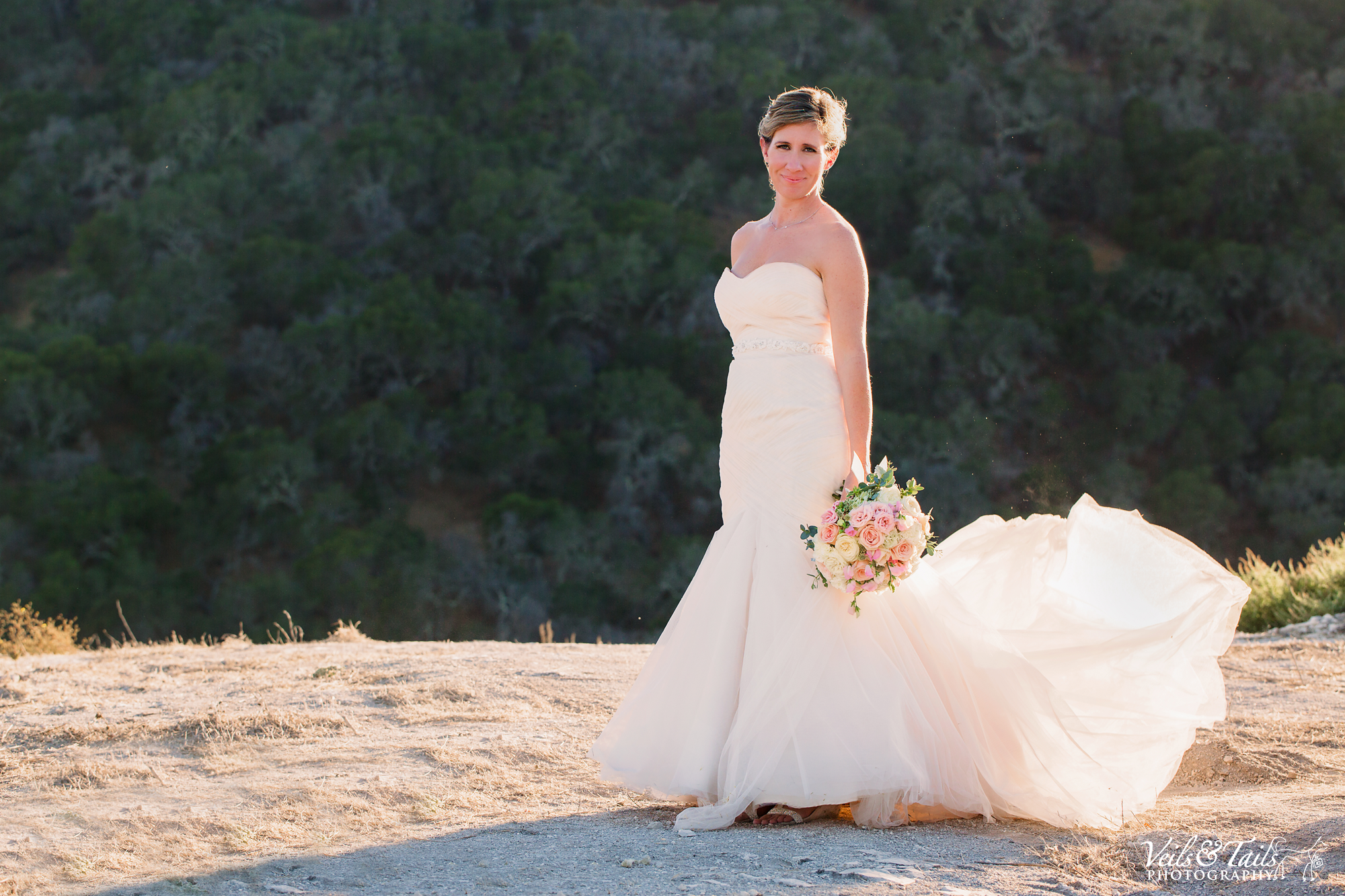 average price for wedding photographer in california