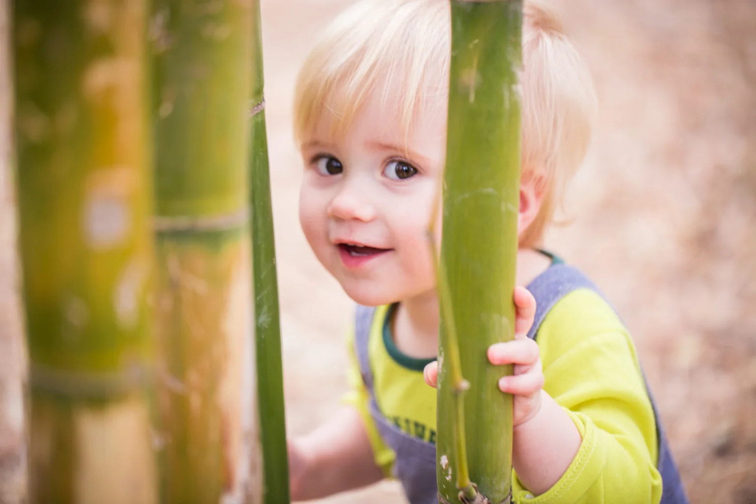 Family Photographer Santa Barbara