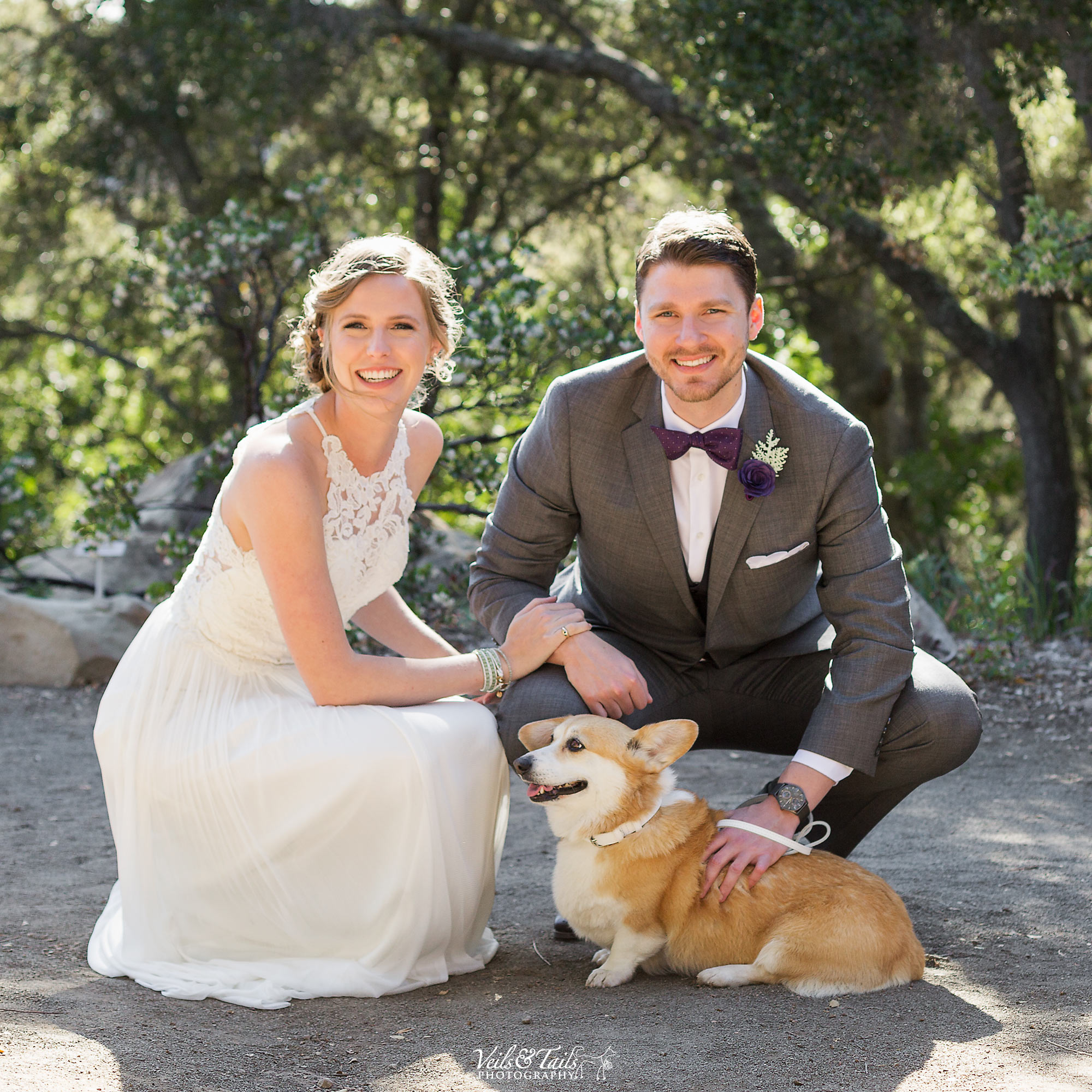 pet and wedding photographer Santa Barbara