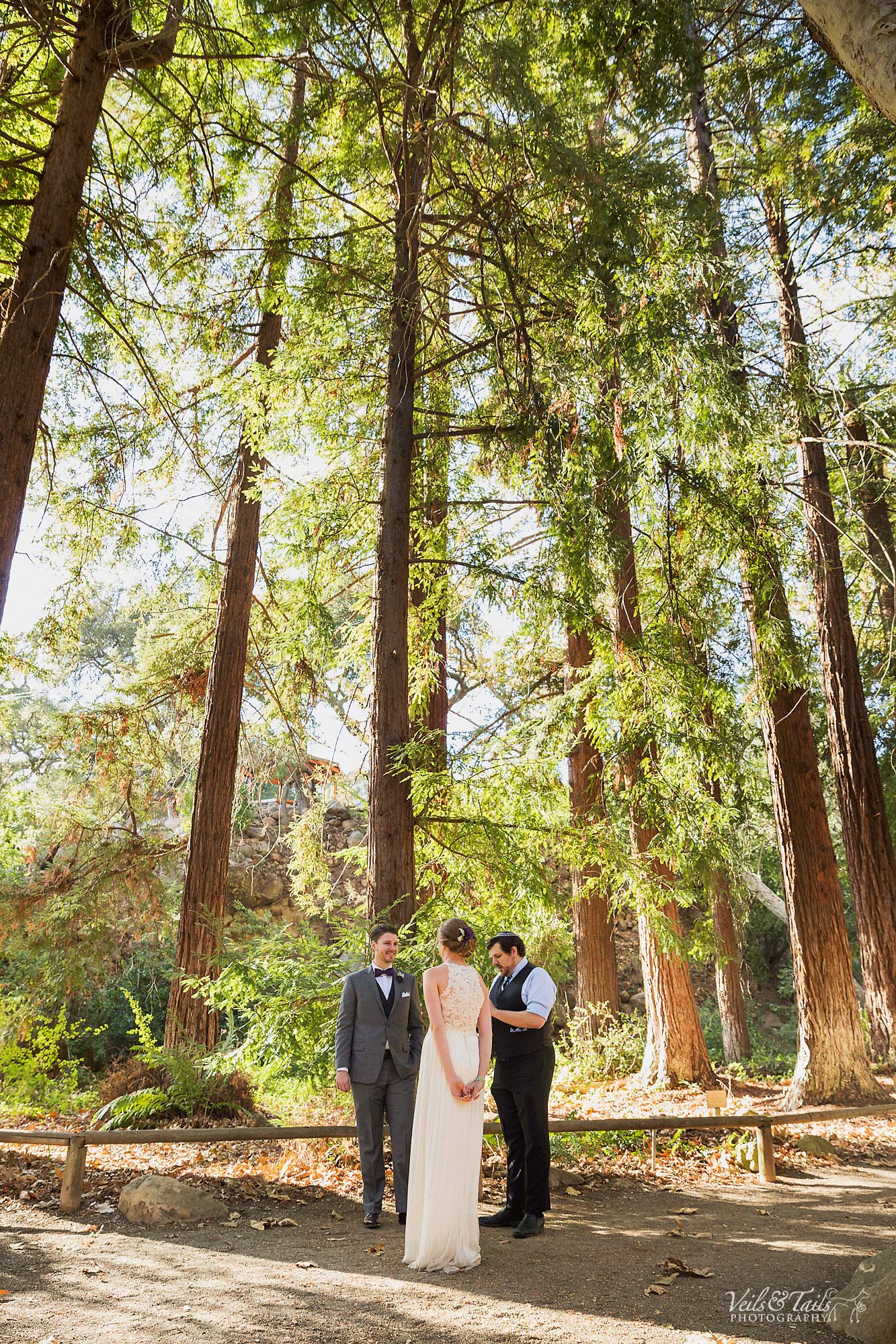 Red wood trees wedding